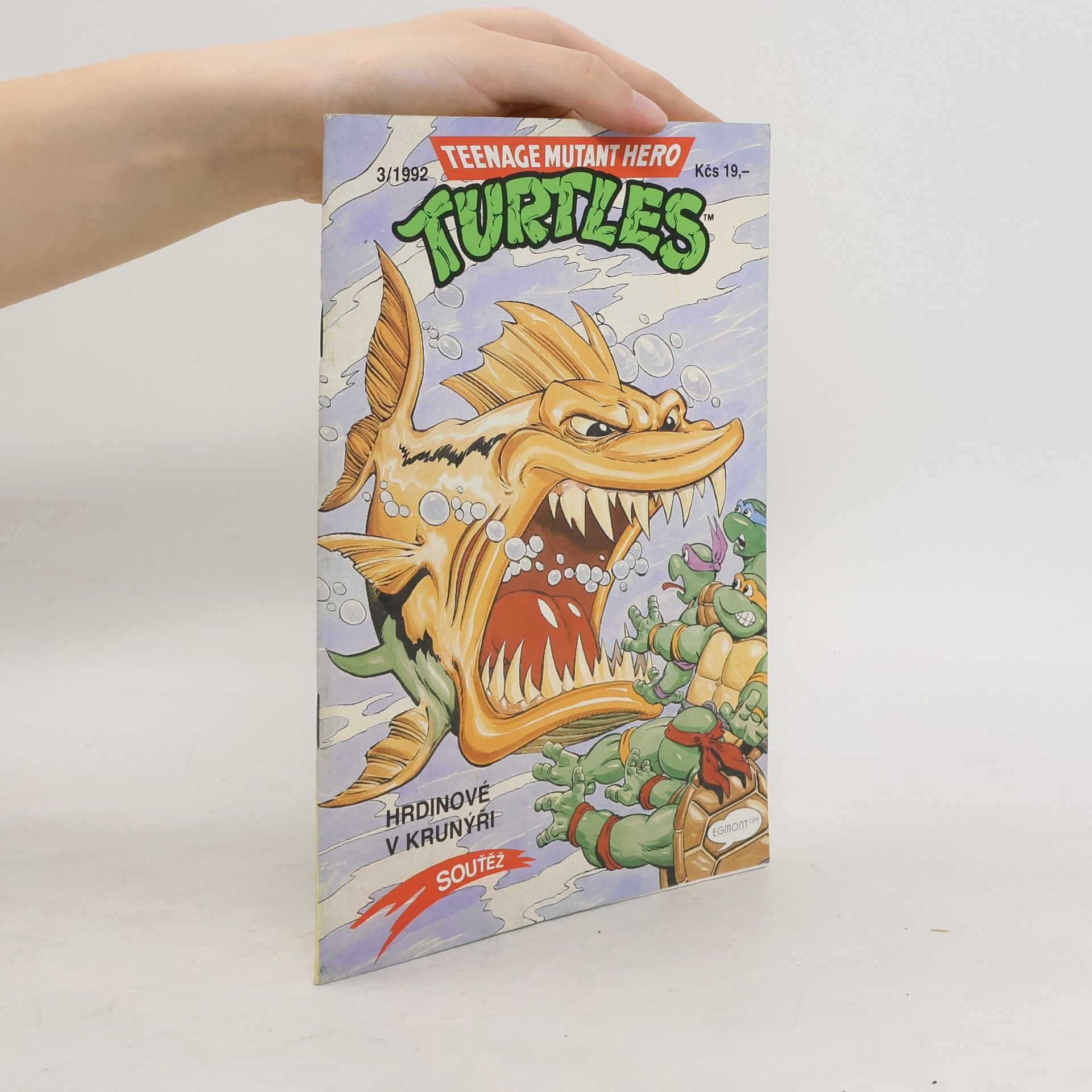 Michael Dooney Teenage Mutant Hero Turtles #03