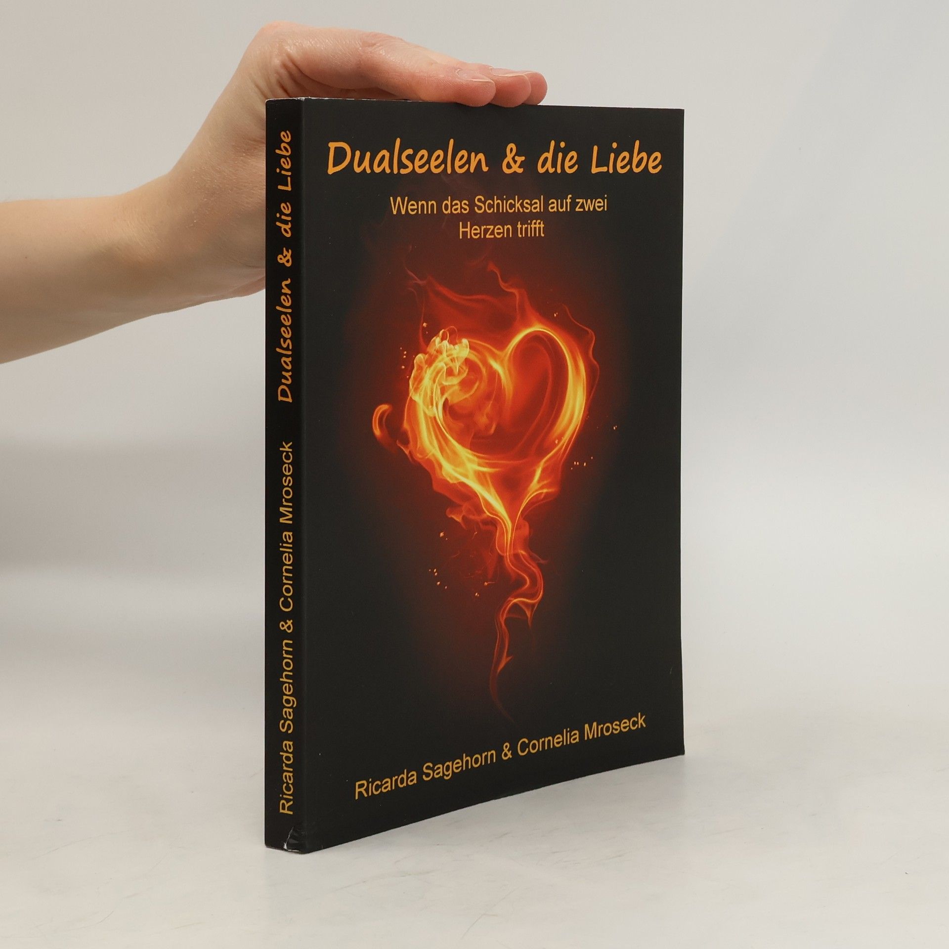 Ricarda Sagehorn Dualseelen & die Liebe