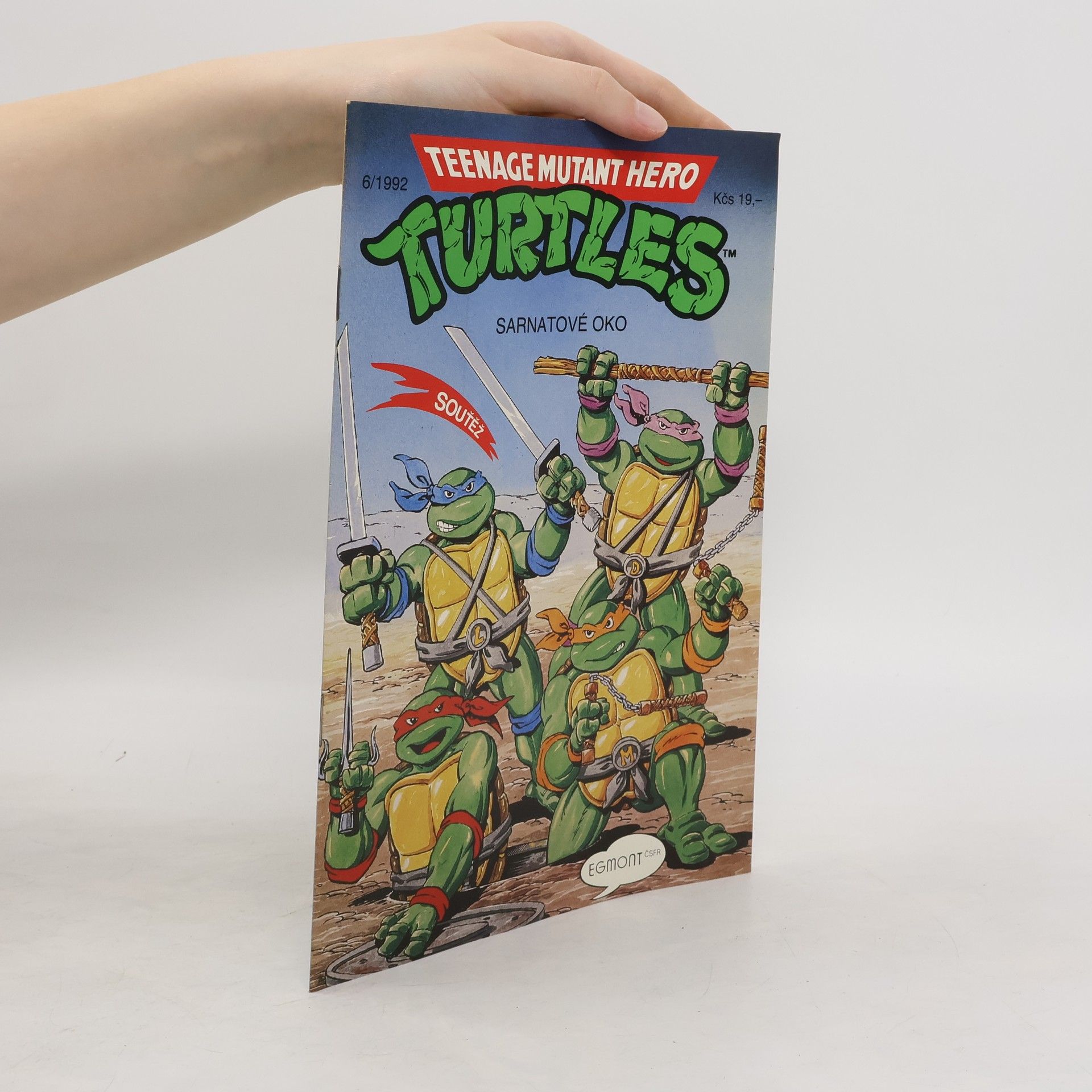 Beth Mitchroney Teenage Mutant Hero Turtles #06
