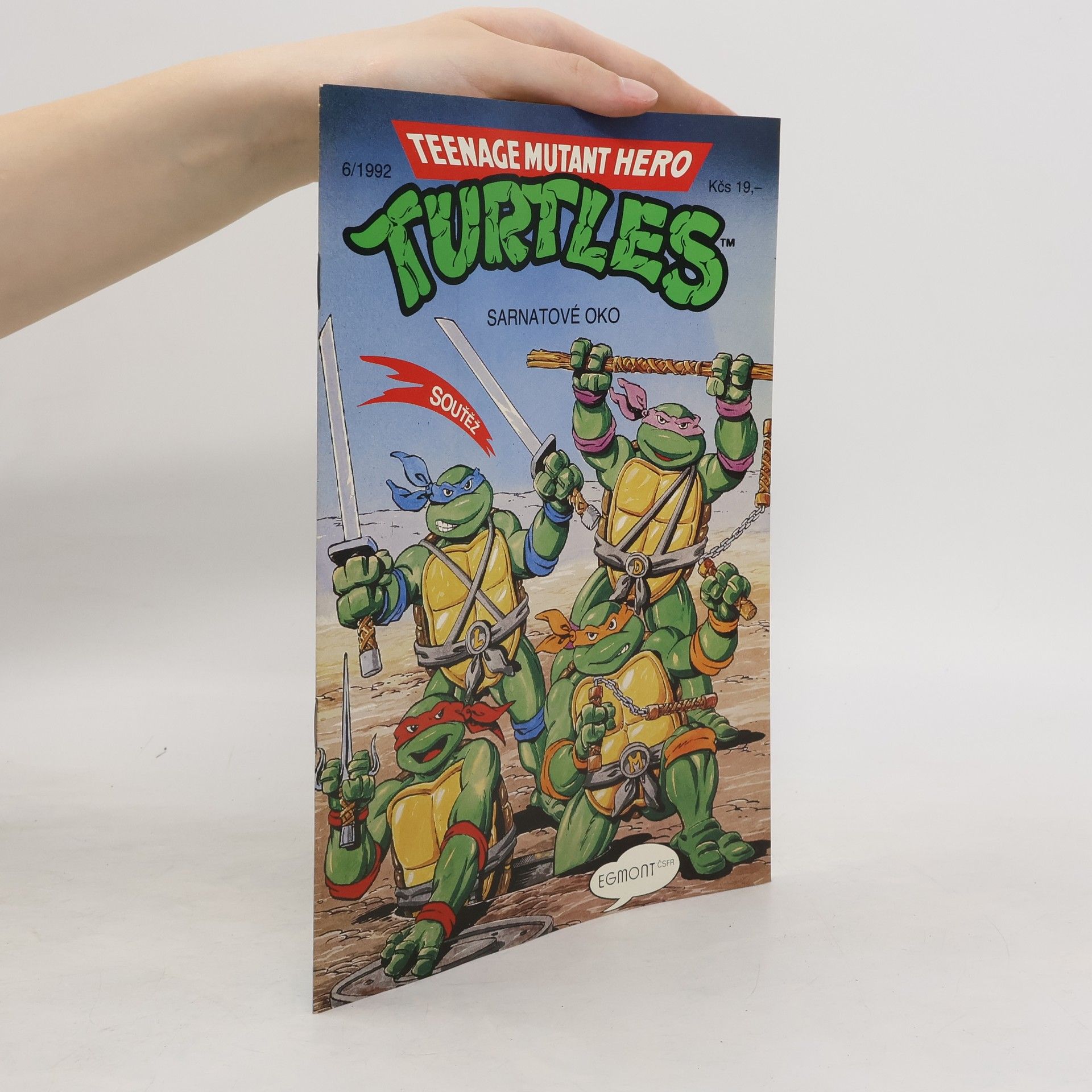 Beth Mitchroney Teenage Mutant Hero Turtles #06