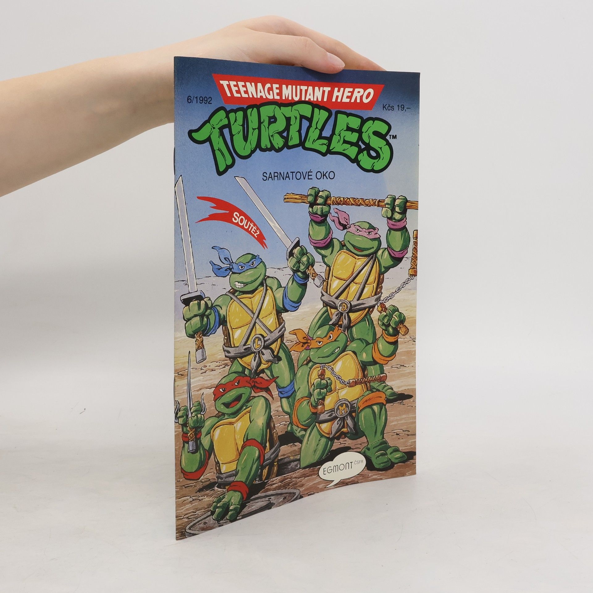 Beth Mitchroney Teenage Mutant Hero Turtles #06