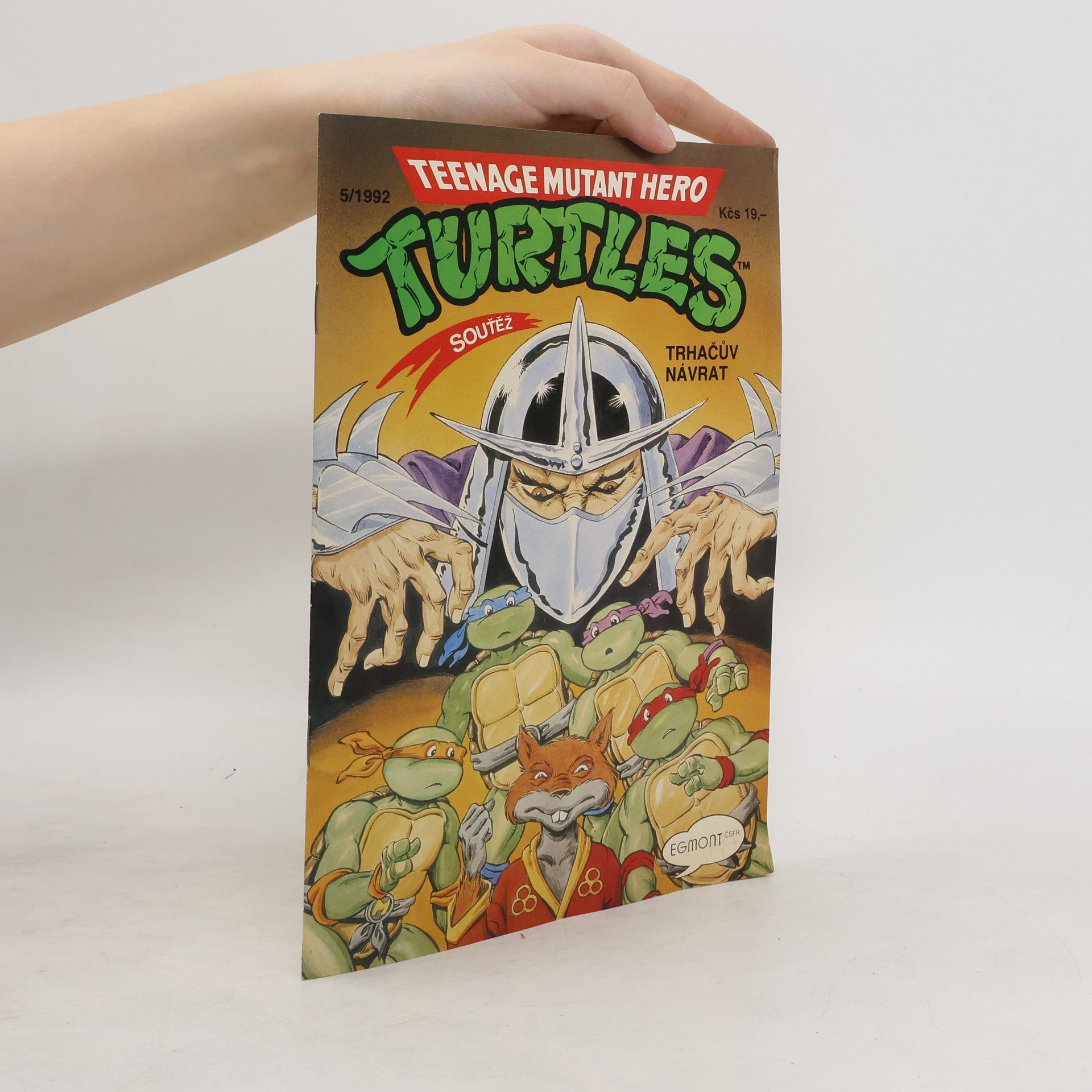 Dave Garcia Teenage Mutant Hero Turtles #05