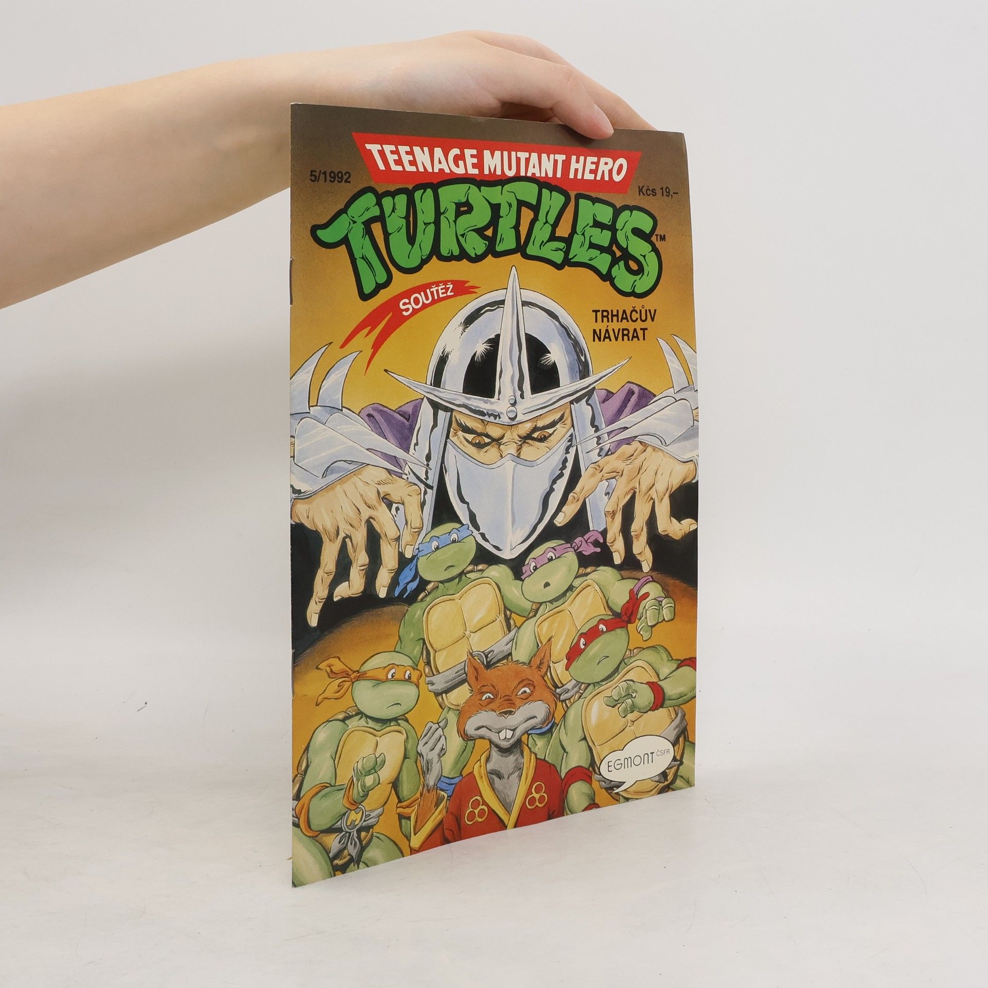 Dave Garcia Teenage Mutant Hero Turtles #05