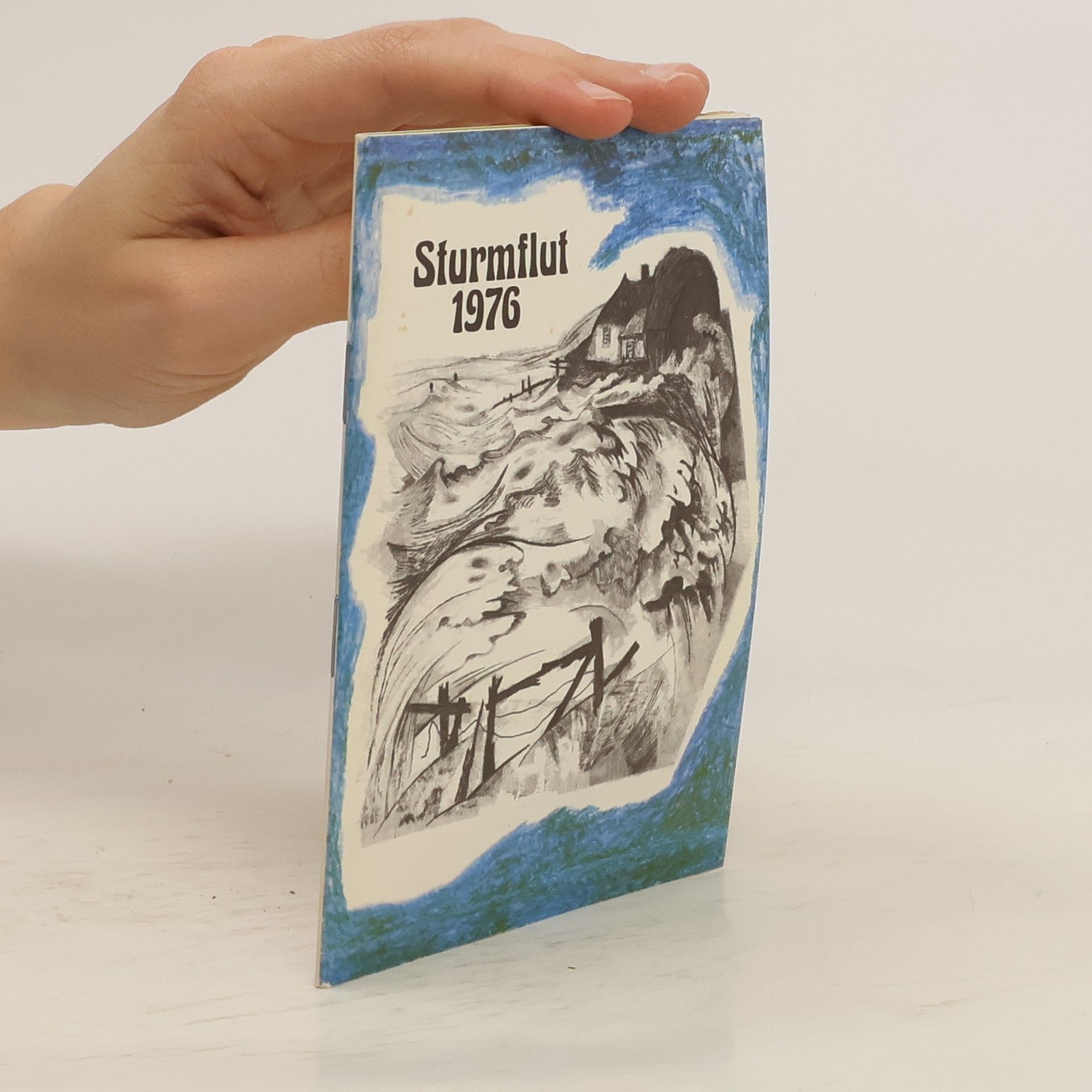 Rainer Naudiet Sturmflut 1976