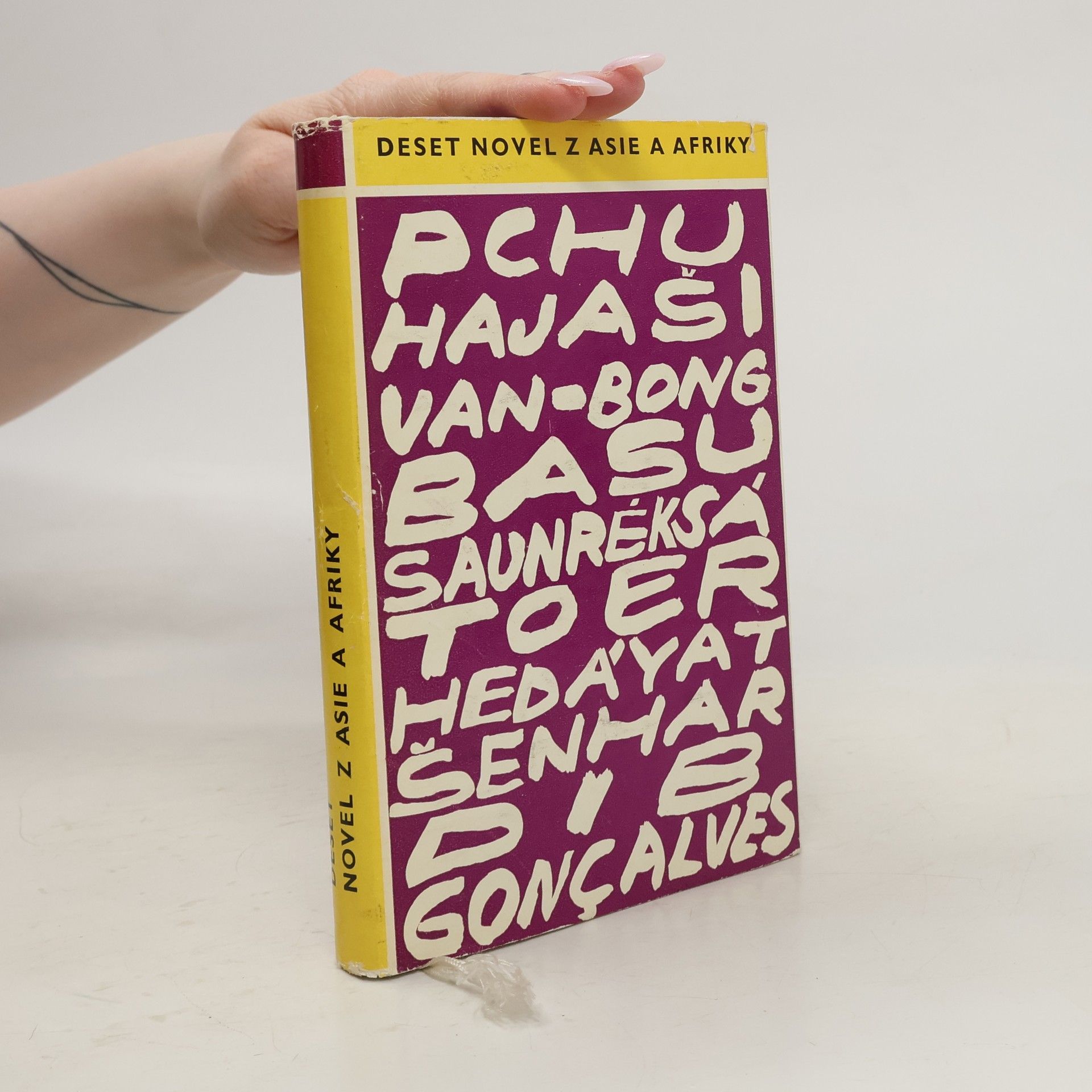 Autorenkollektiv Deset novel z Asie a Afriky