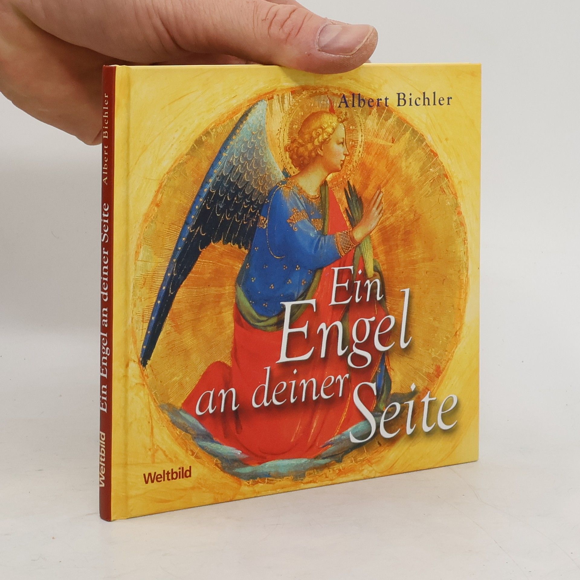 Albert Bichler Ein Engel an deiner Seite