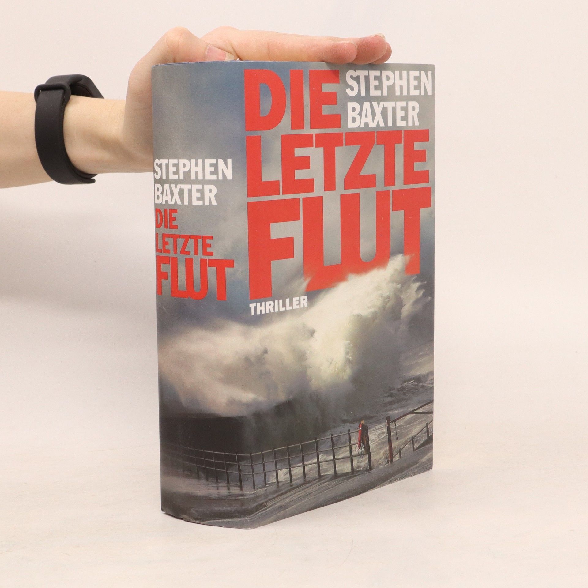 Stephen Baxter Die letzte Flut