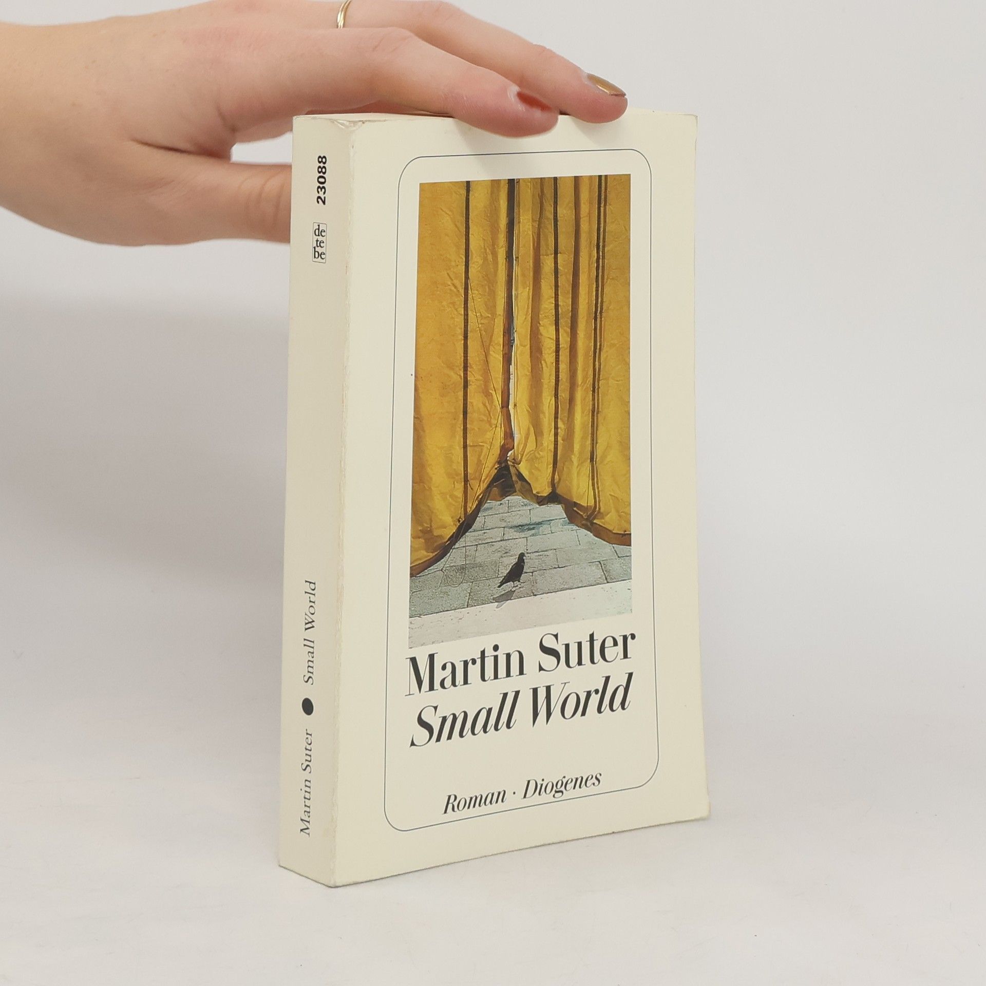 Martin Suter Small World