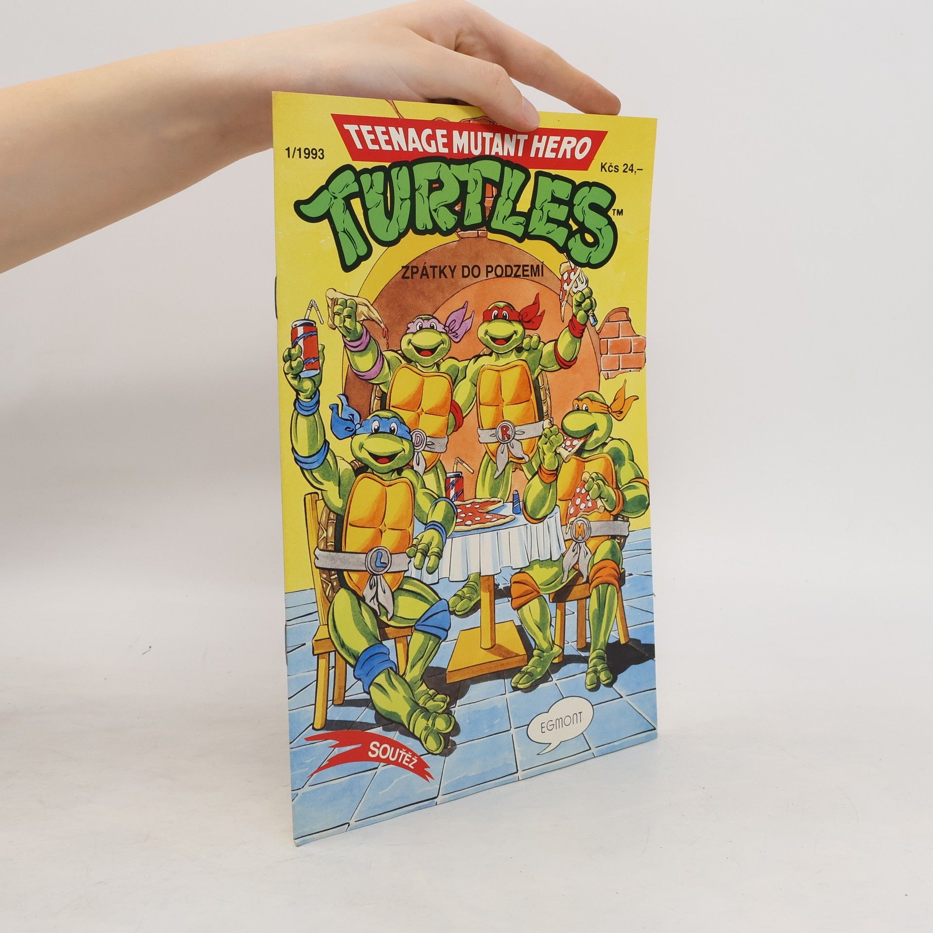 Dean Clarrain Teenage Mutant Hero Turtles #13