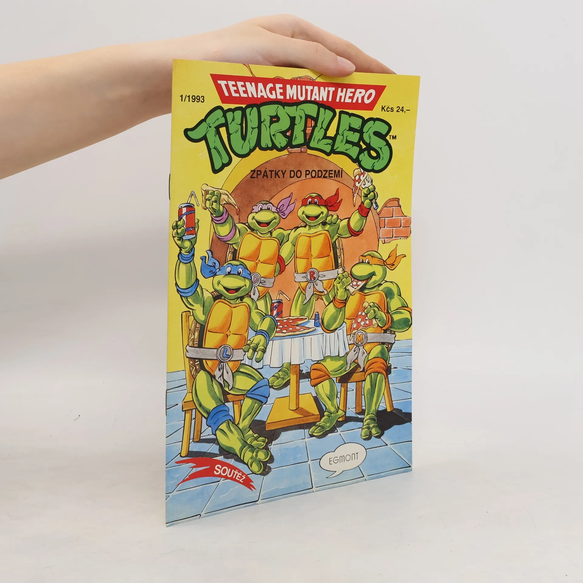 Teenage Mutant Hero Turtles #13 | Libro | In brossura | Dean Clarrain | CS