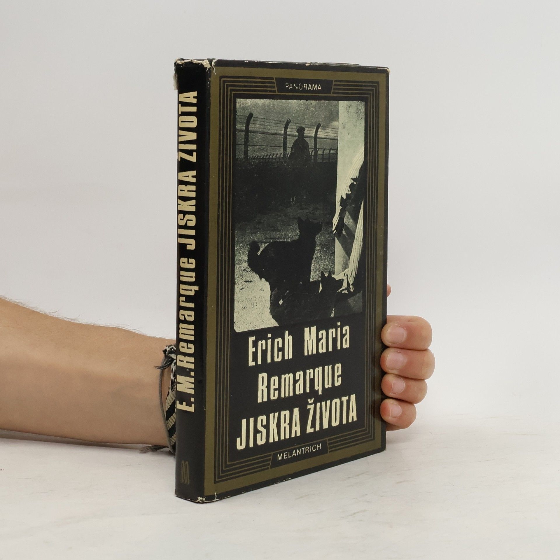 Erich Maria Remarque Jiskra života