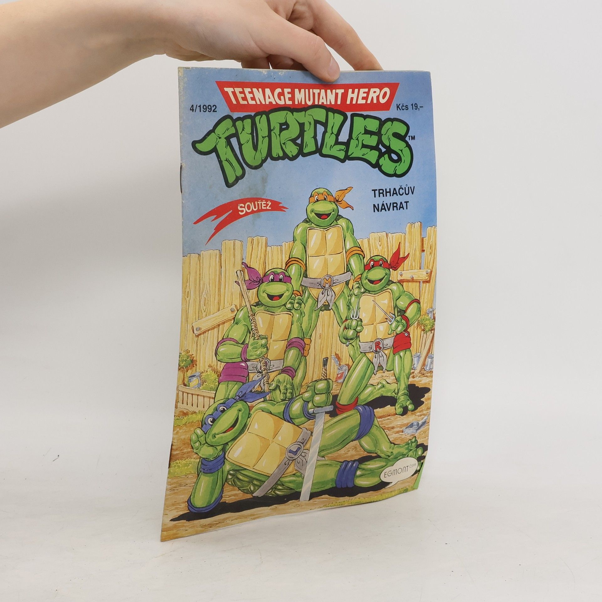 Dave Garcia Teenage Mutant Hero Turtles #04
