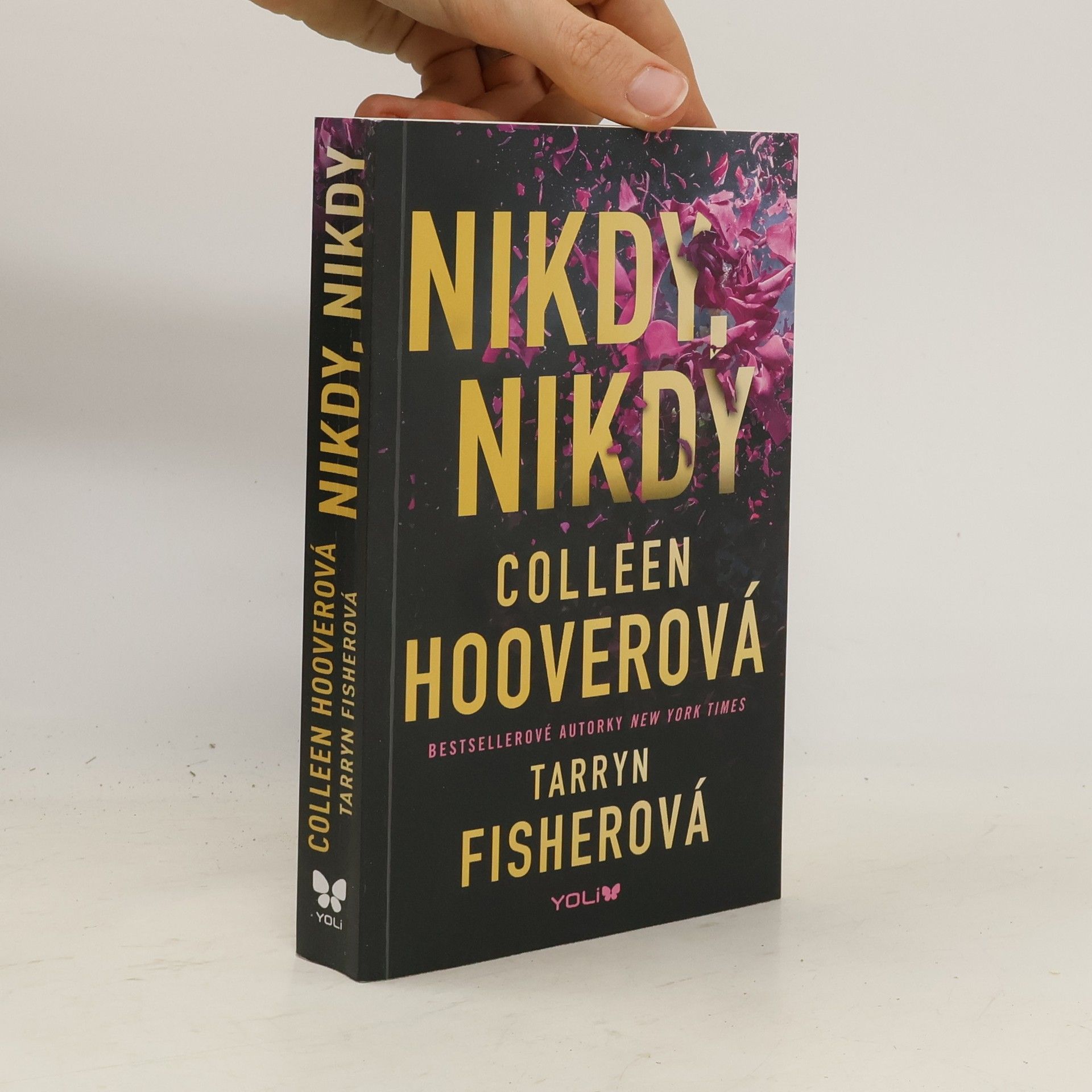Colleen Hoover Nikdy, nikdy