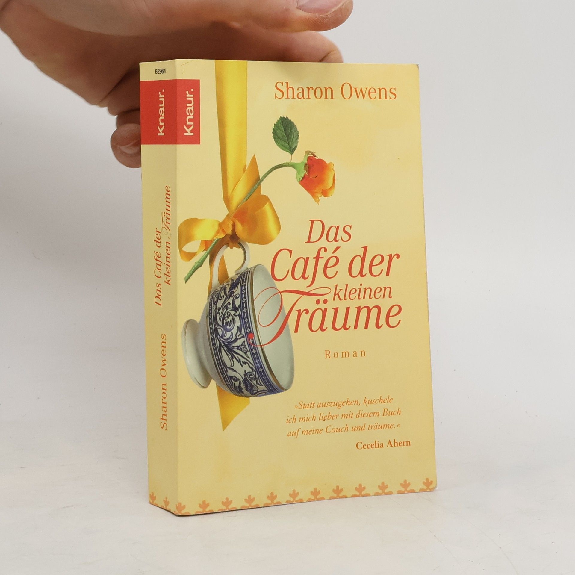 Sharon Owens Das Café der kleinen Träume
