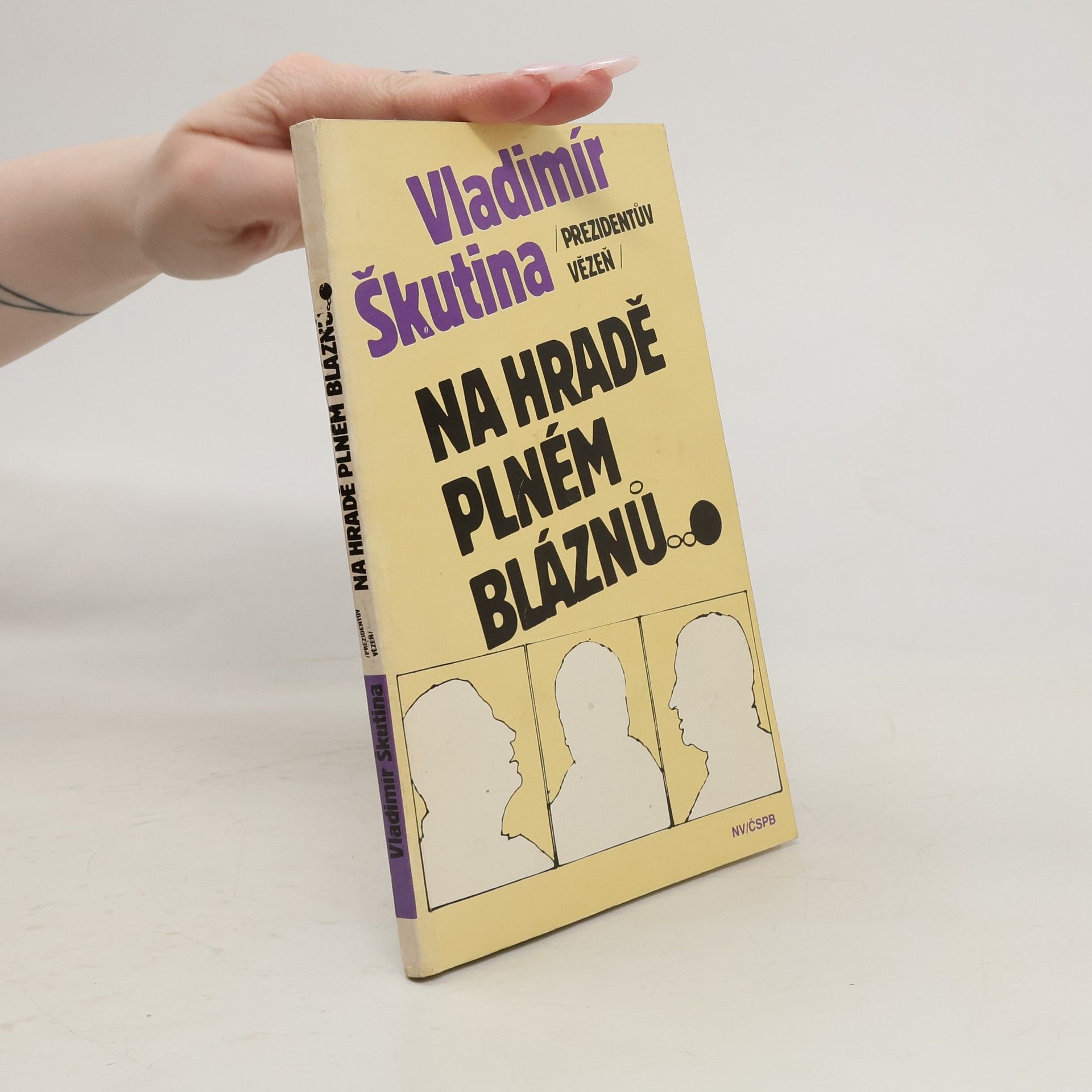 Vladimír Škutina Na hradě plném bláznů