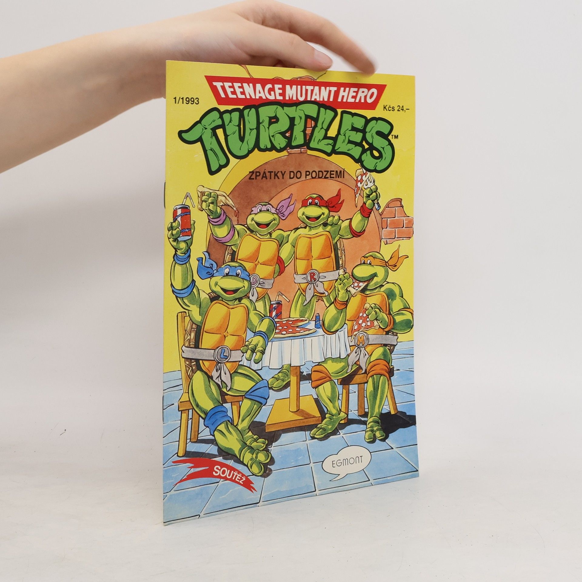 Dean Clarrain Teenage Mutant Hero Turtles #13