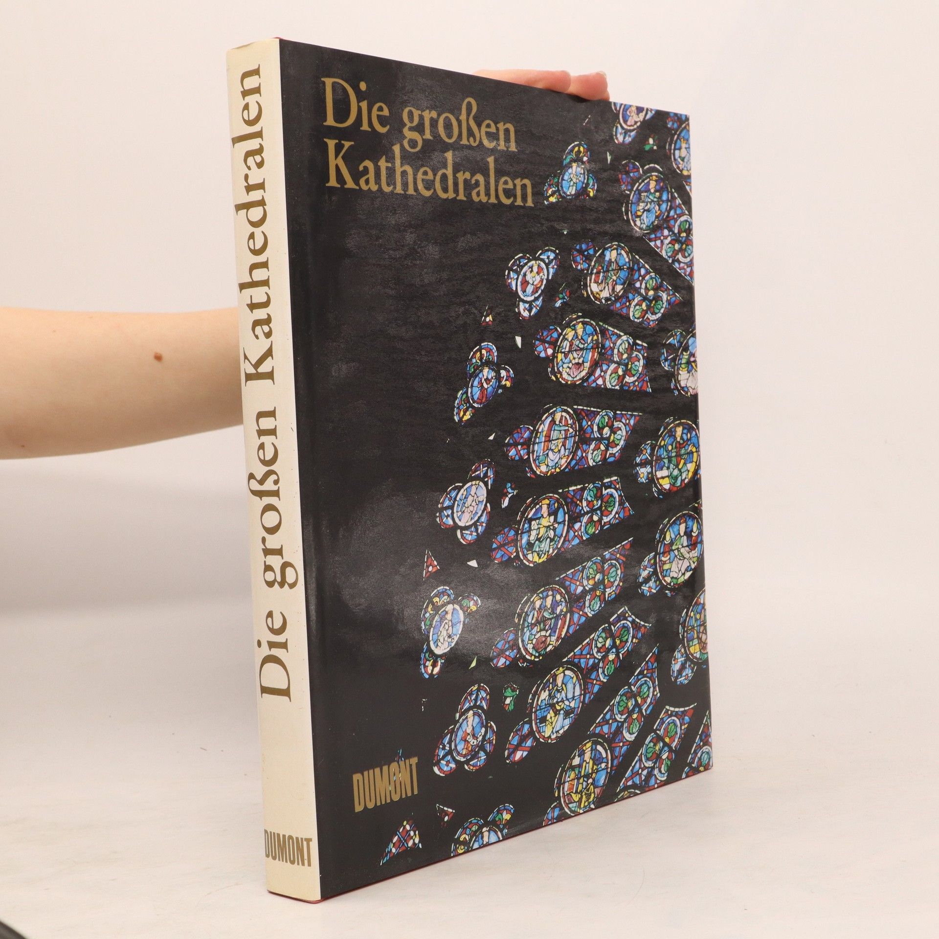Wim Swaan Die Grossen Kathedralen