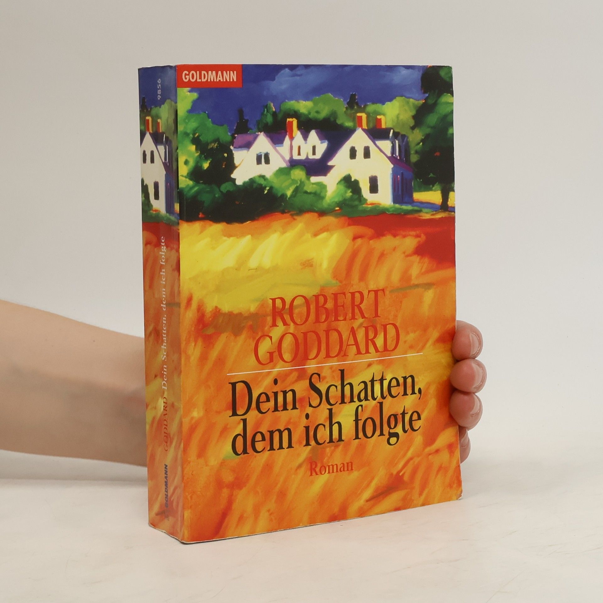Robert Goddard Dein Schatten, dem ich folgte