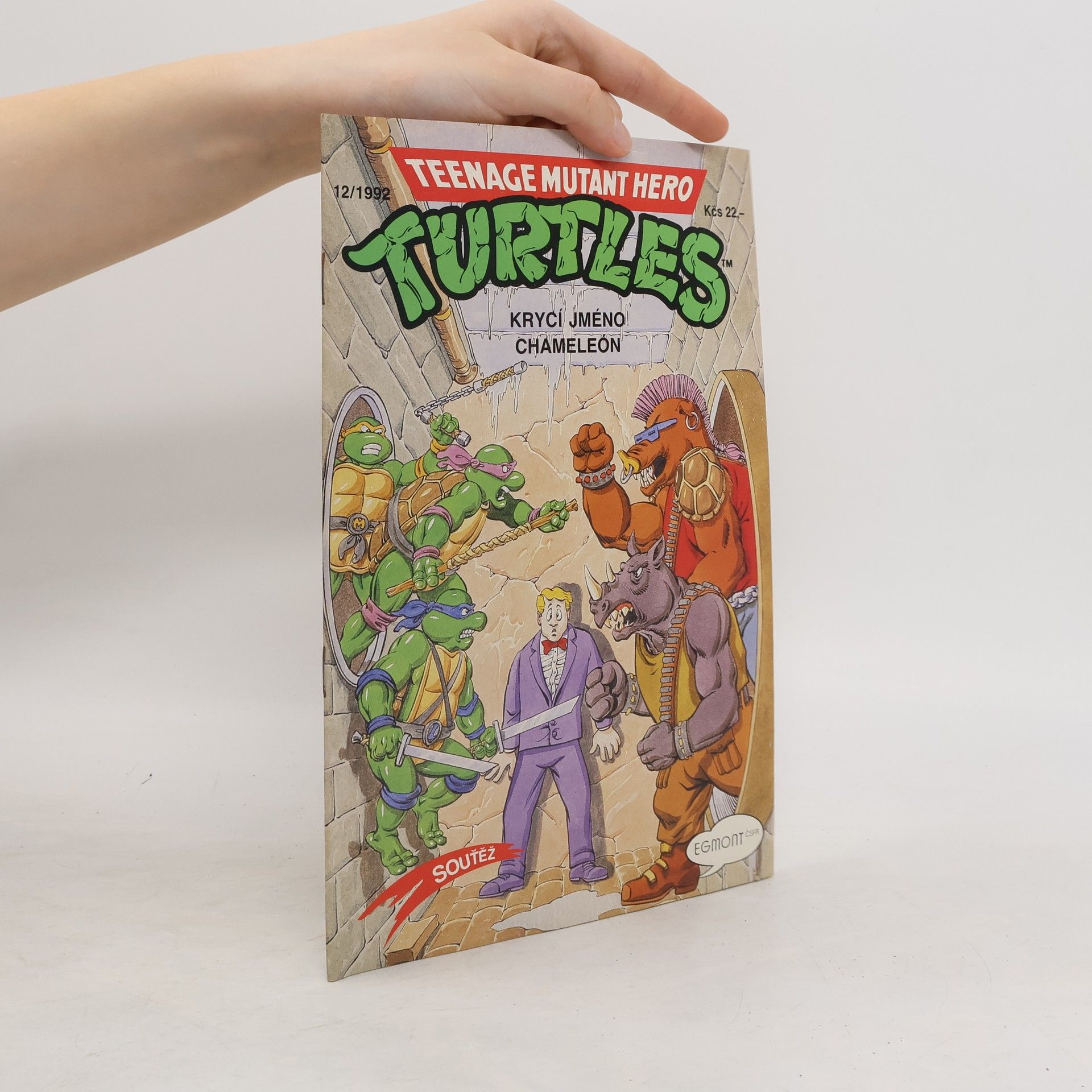Dean Clarrain Teenage Mutant Hero Turtles #12