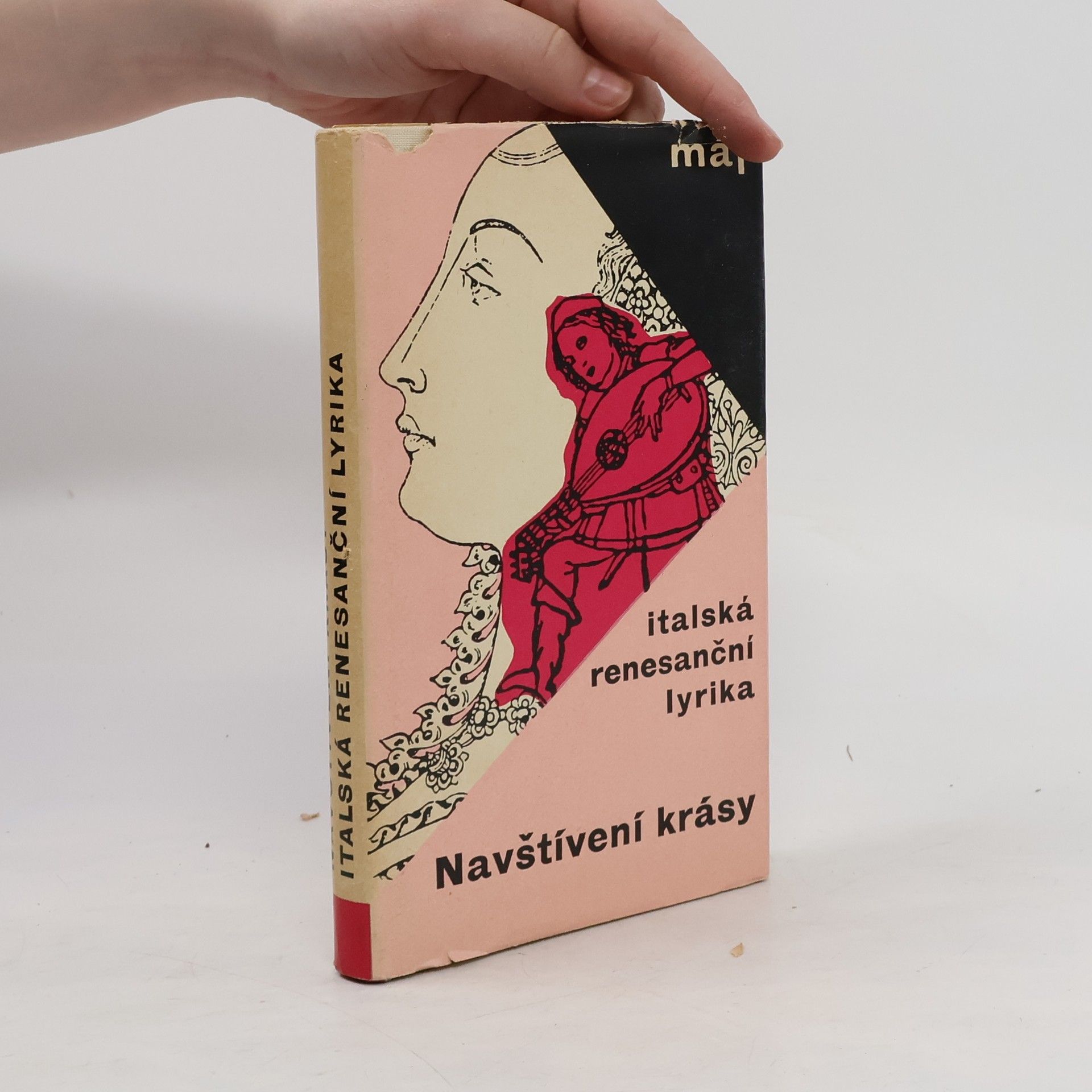 Jan Vladislav Navštívení krásy. Italská renesanční lyrika