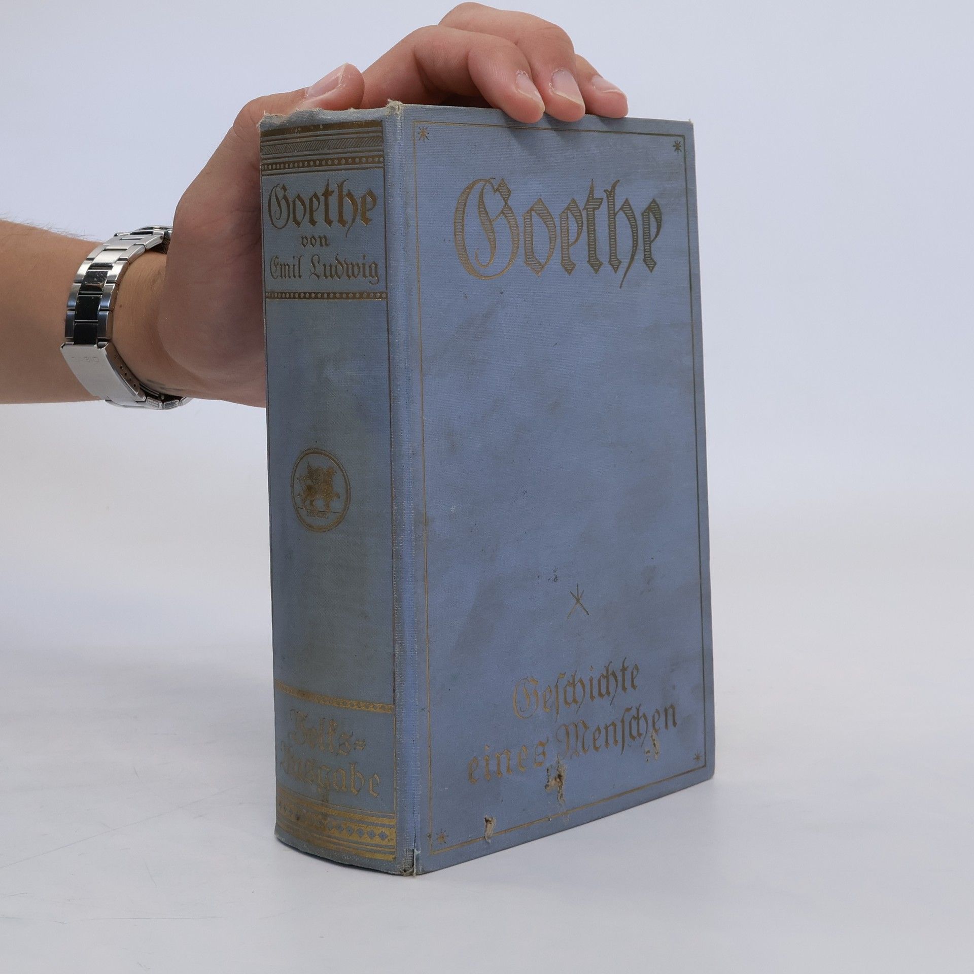 Emil Ludwig Goethe. Geschichte eines Menschen