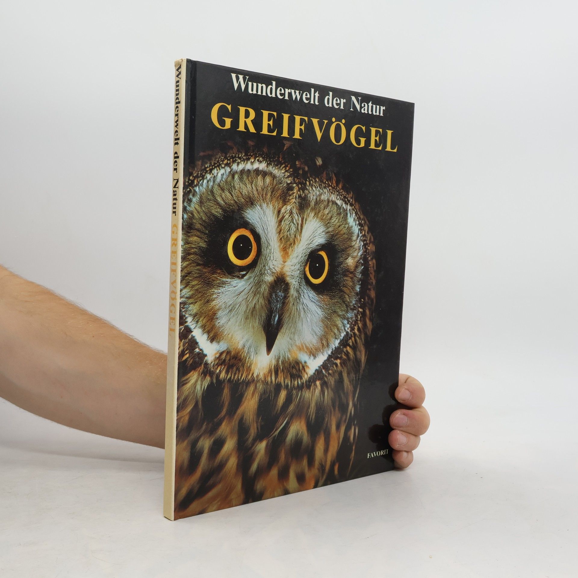 John Andrews Greifvögel Wunderwelt der Natur