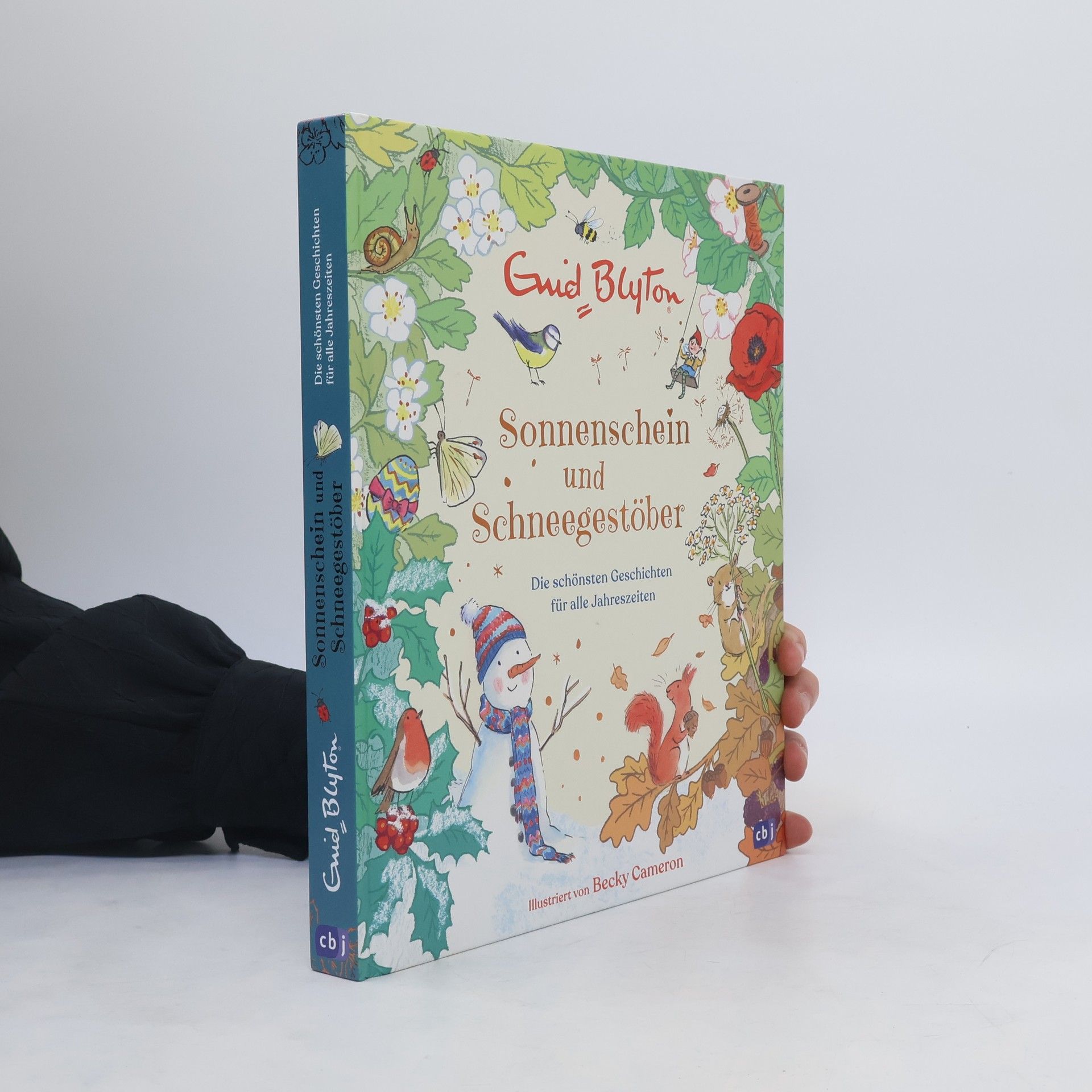 Enid Blyton Sonnenschein und Schneegestöber