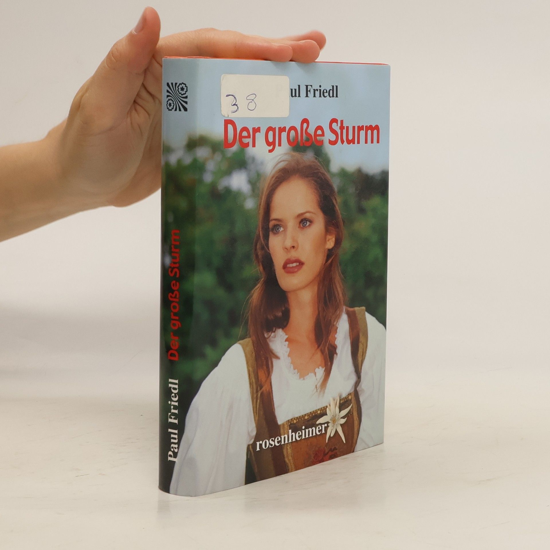Paul Friedl Der große Sturm