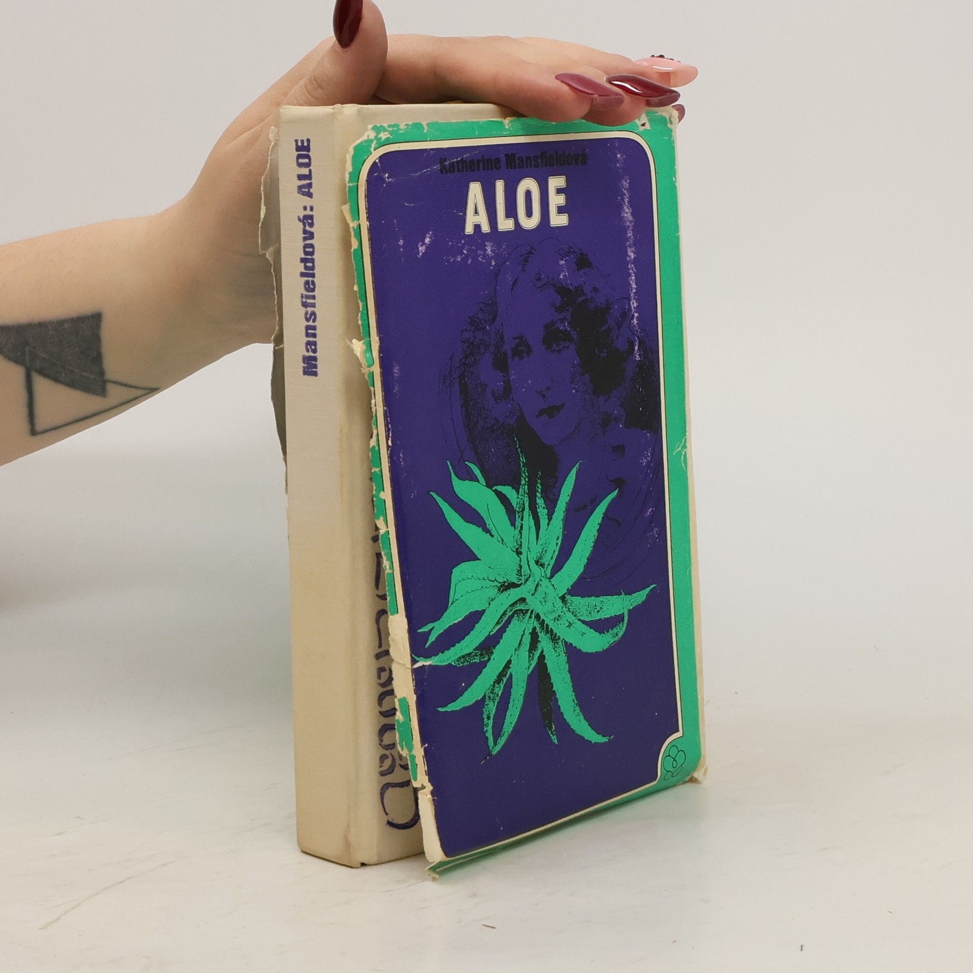 Katherine Mansfield Aloe