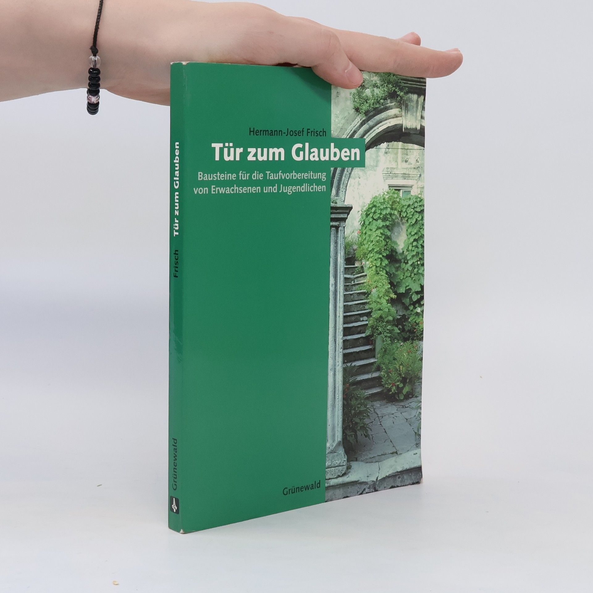 Hermann-Josef Frisch Tür zum Glauben