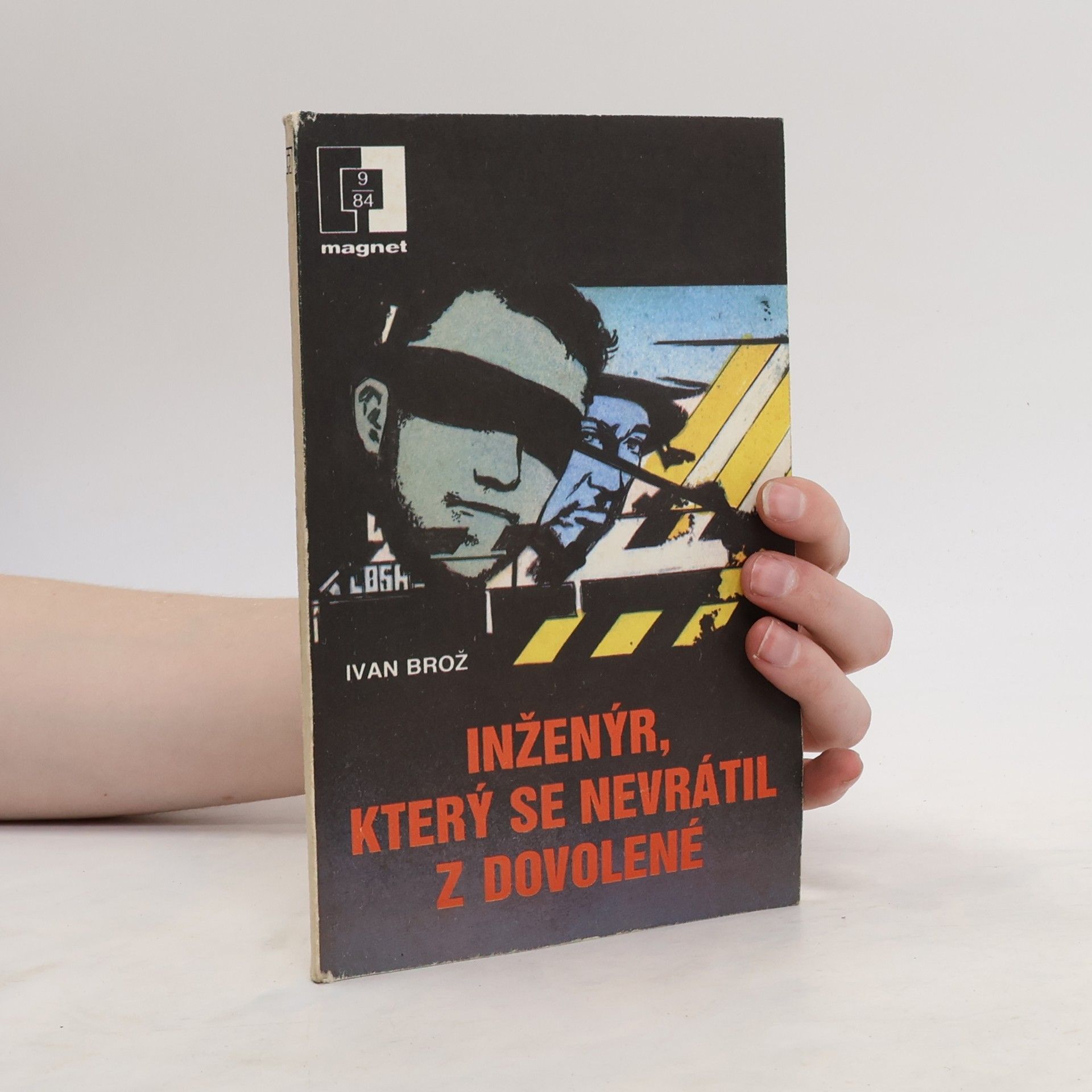 Petr Linda Inženýr, který se nevrátil z dovolené