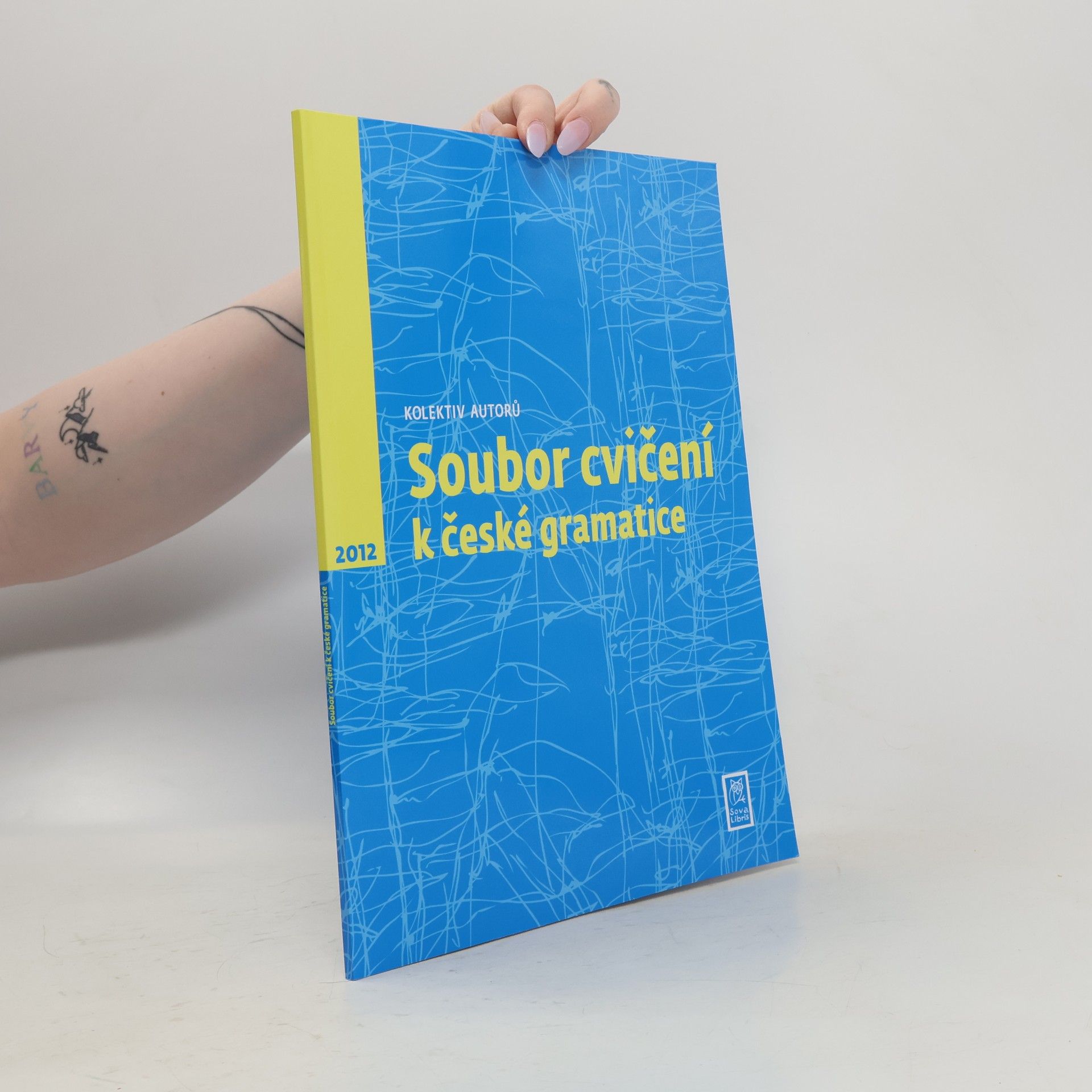 Collectif d'auteurs Soubor cvičení k české gramatice