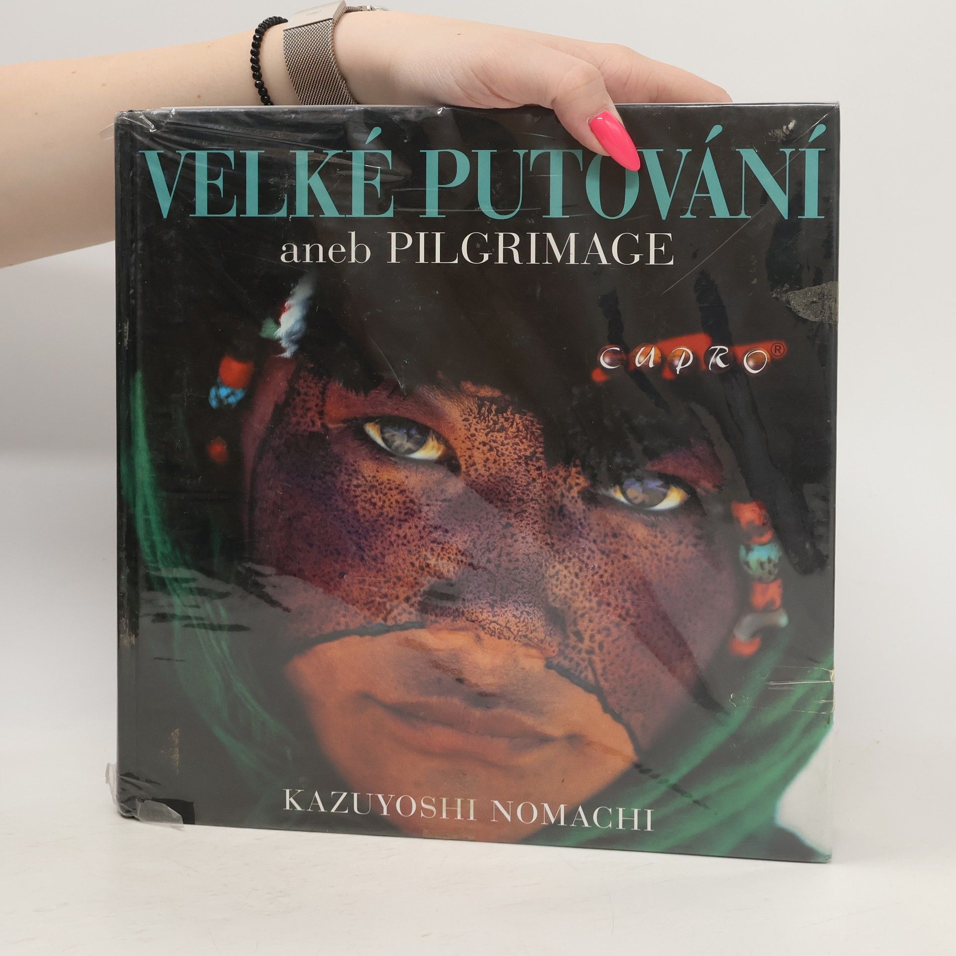 Velké putování aneb pilgrimage