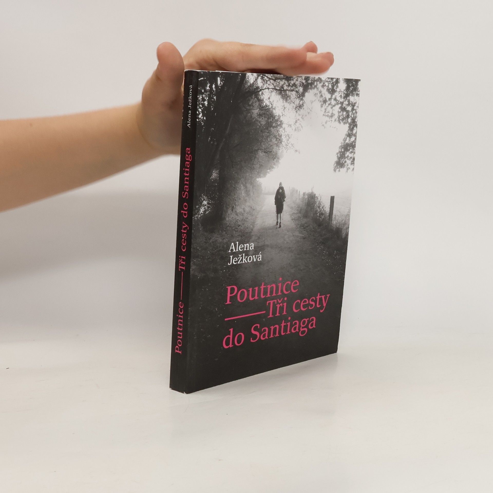 Alena Ježková Poutnice: Tři cesty do Santiaga