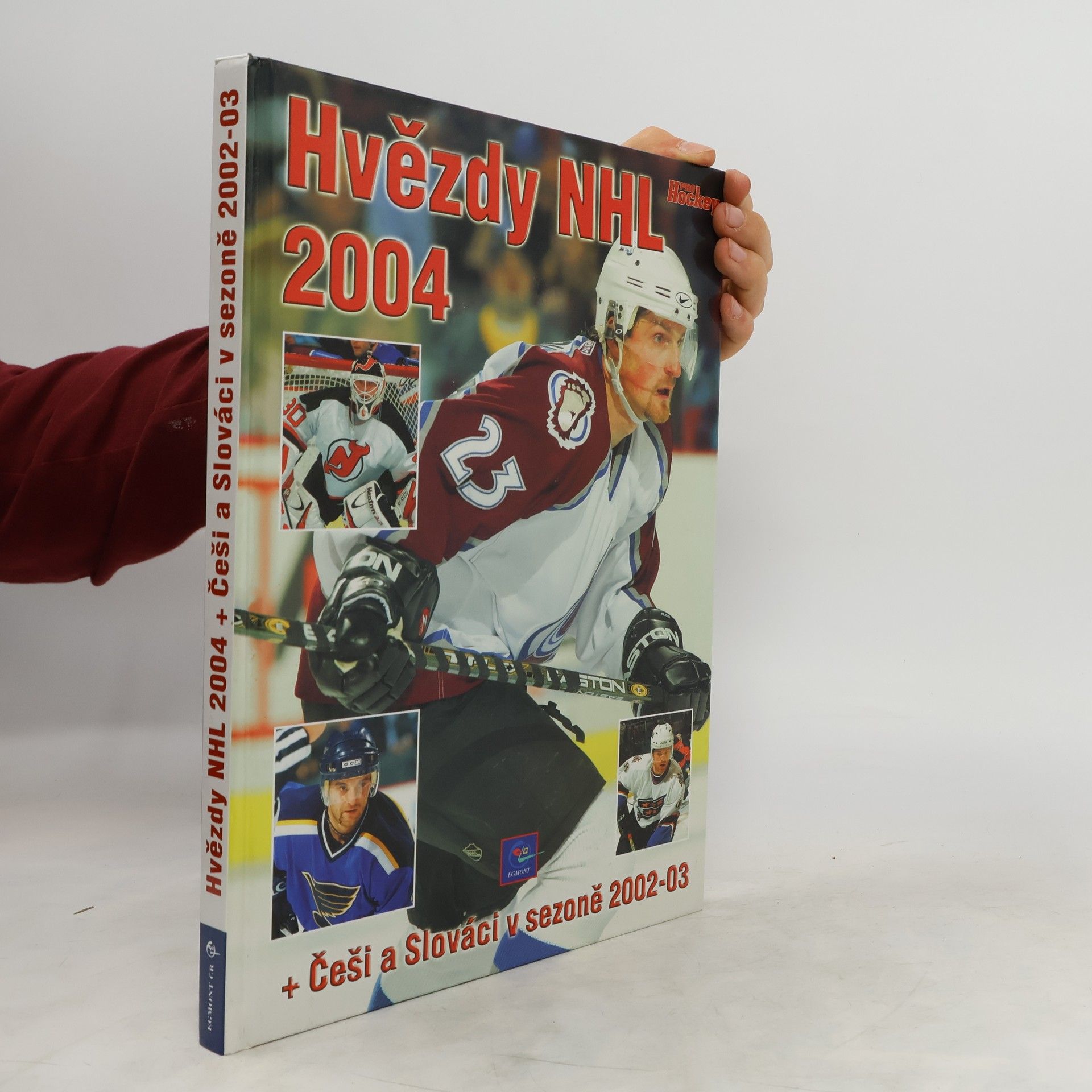 Kolektiv autorů Hvězdy NHL 2004