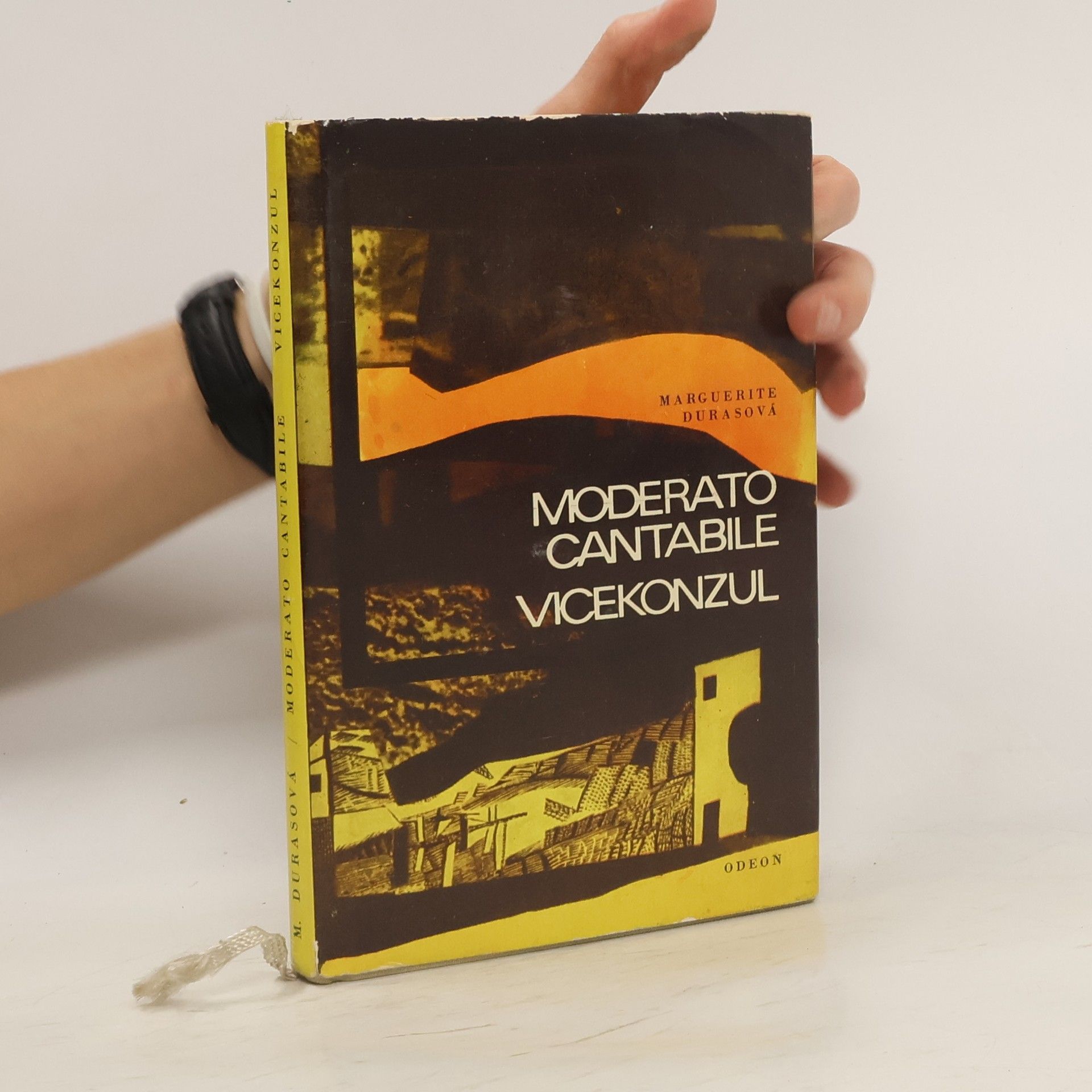 Marguerite Duras Moderato cantabile, Vicekonzul
