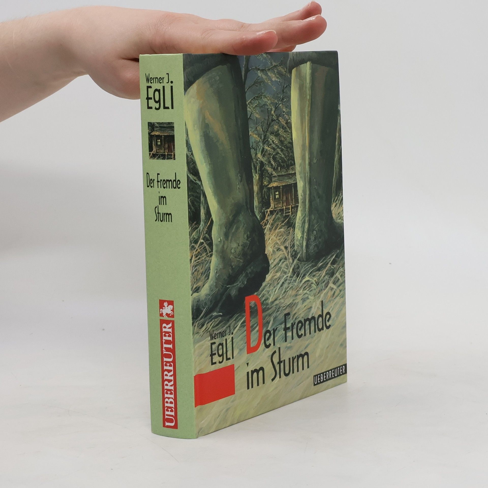 Werner J. Egli Der Fremde im Sturm