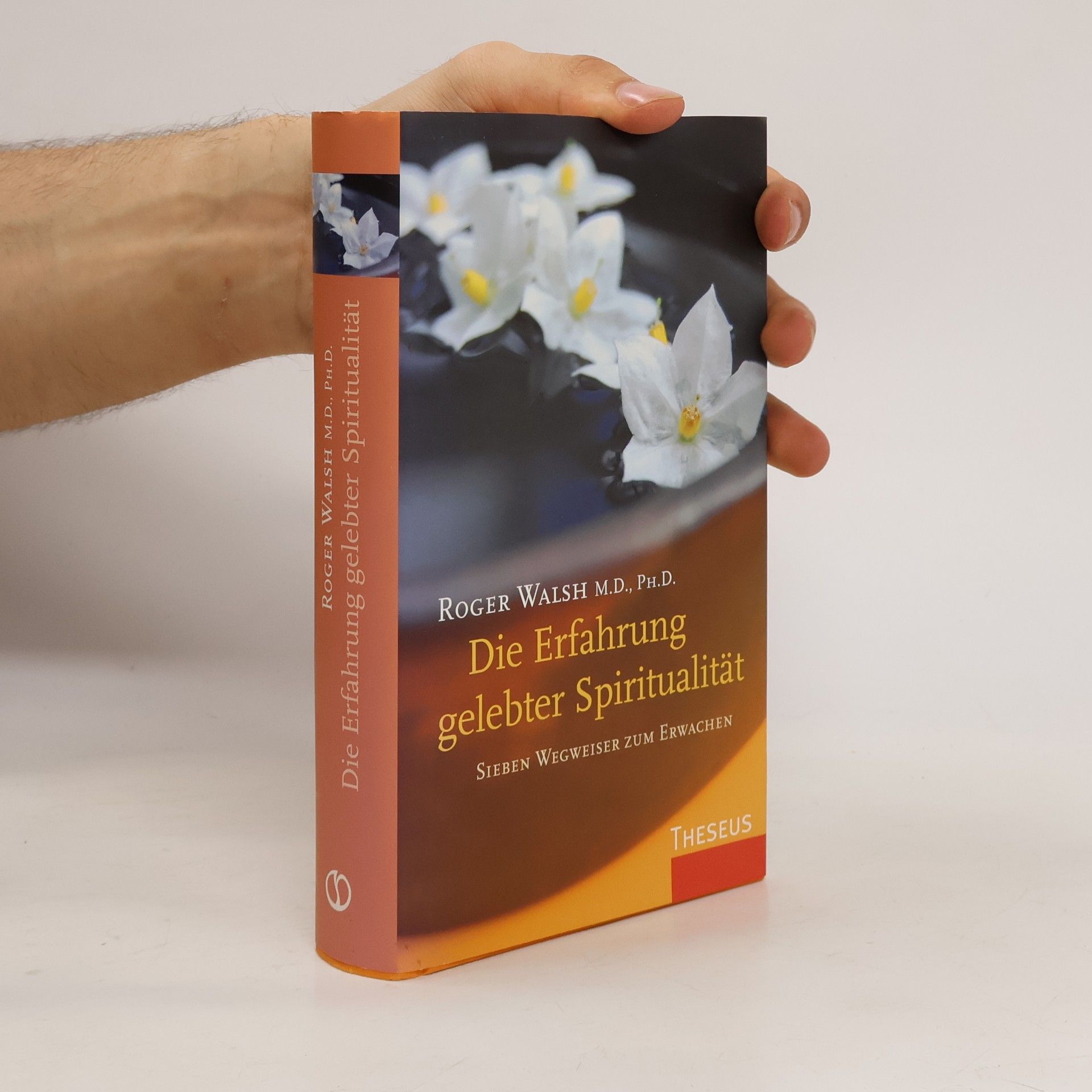 Roger Walsh Die Erfahrung gelebter Spiritualität