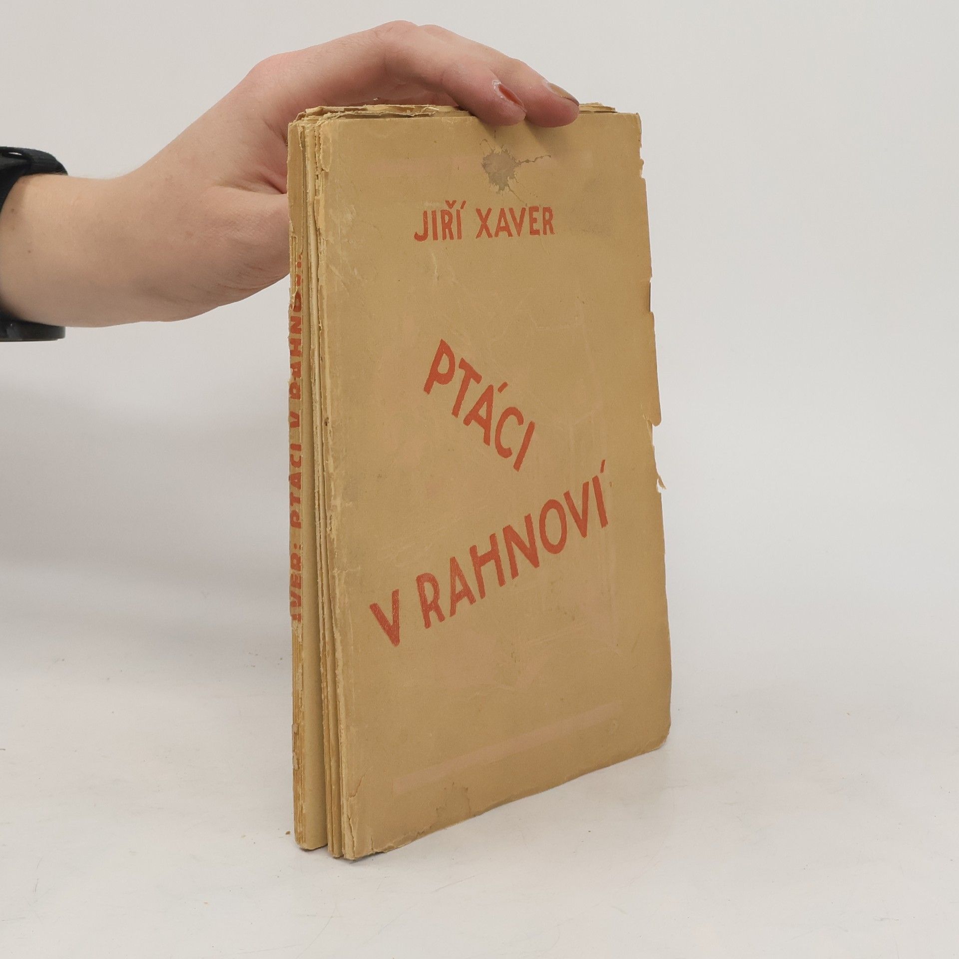 Jiří Xaver Ptáci v rahnoví