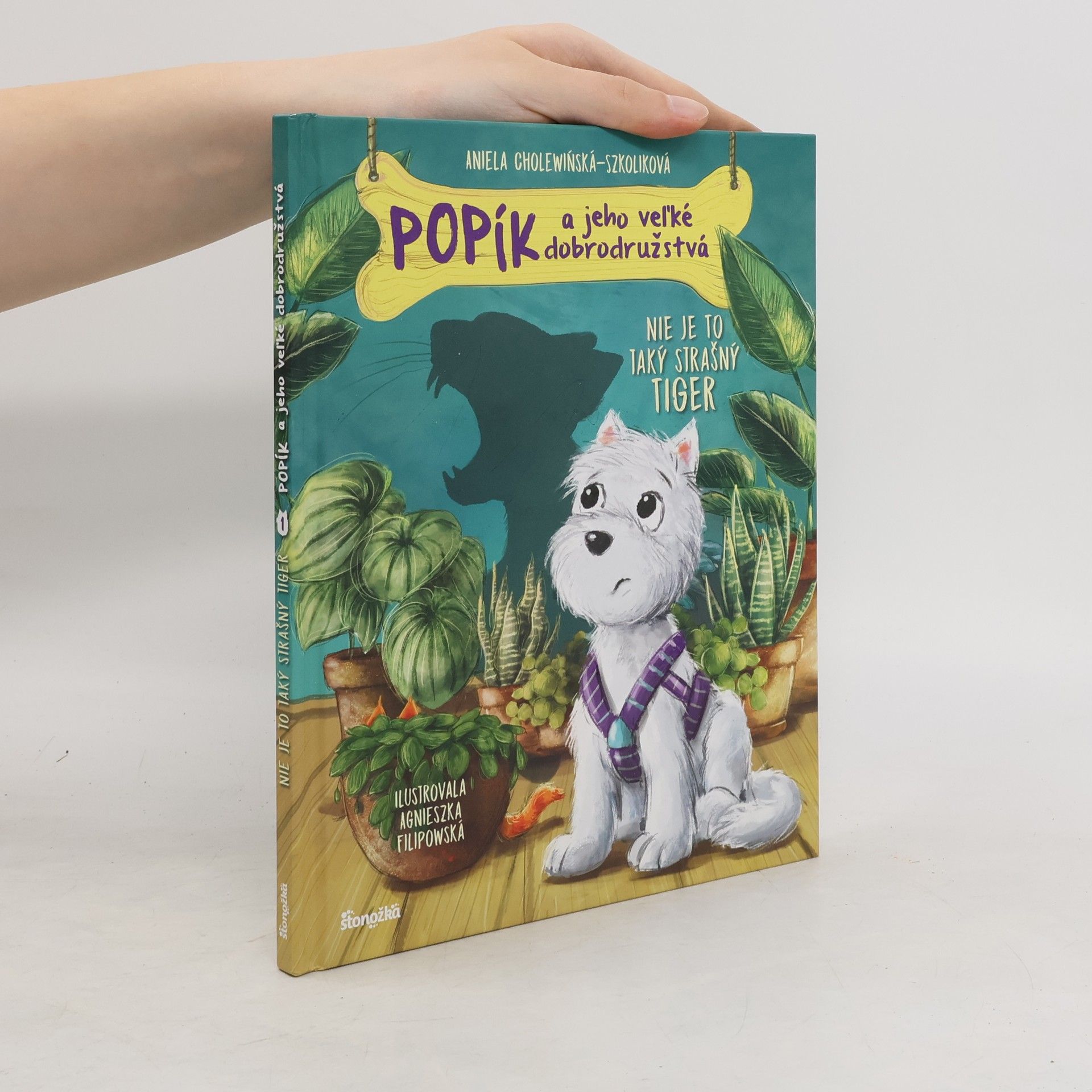 Aniela Cholewińská-Szkoliková Popík a jeho veľké dobrodružstvá