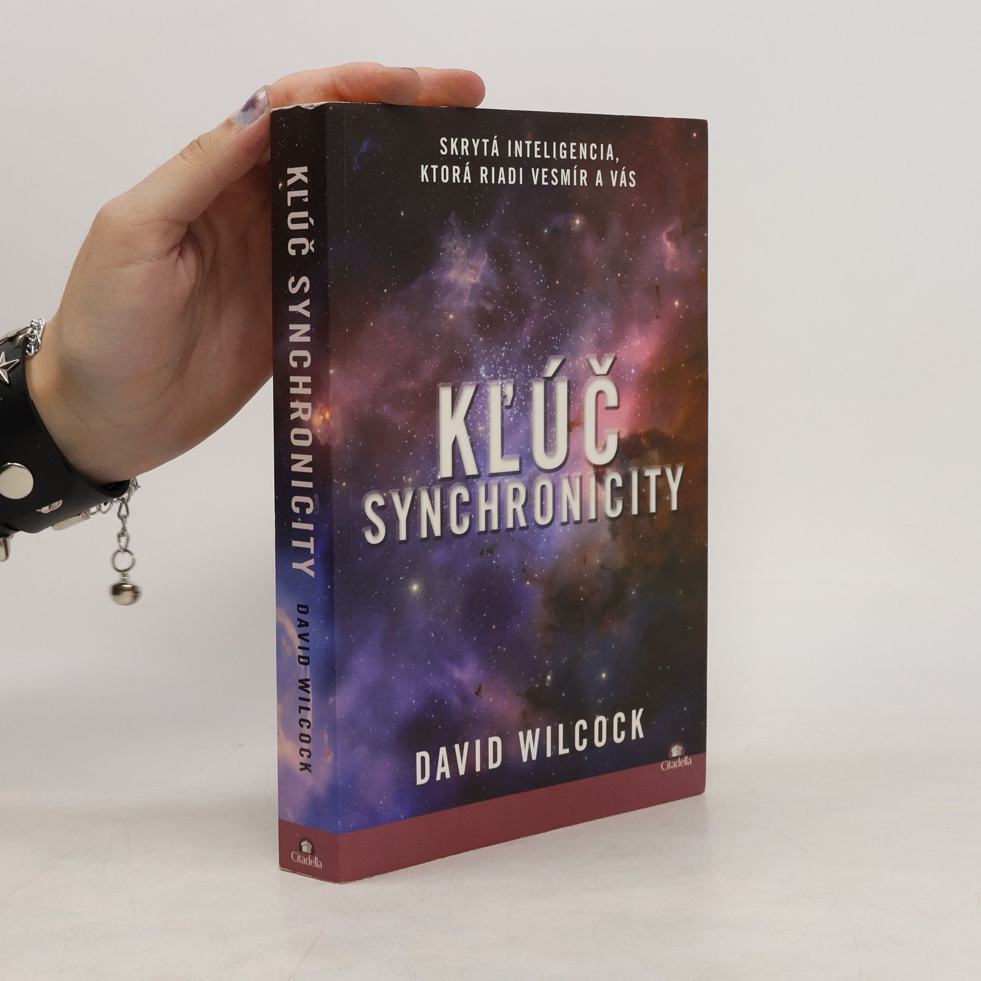 David Wilcock Klúč synchronicity
