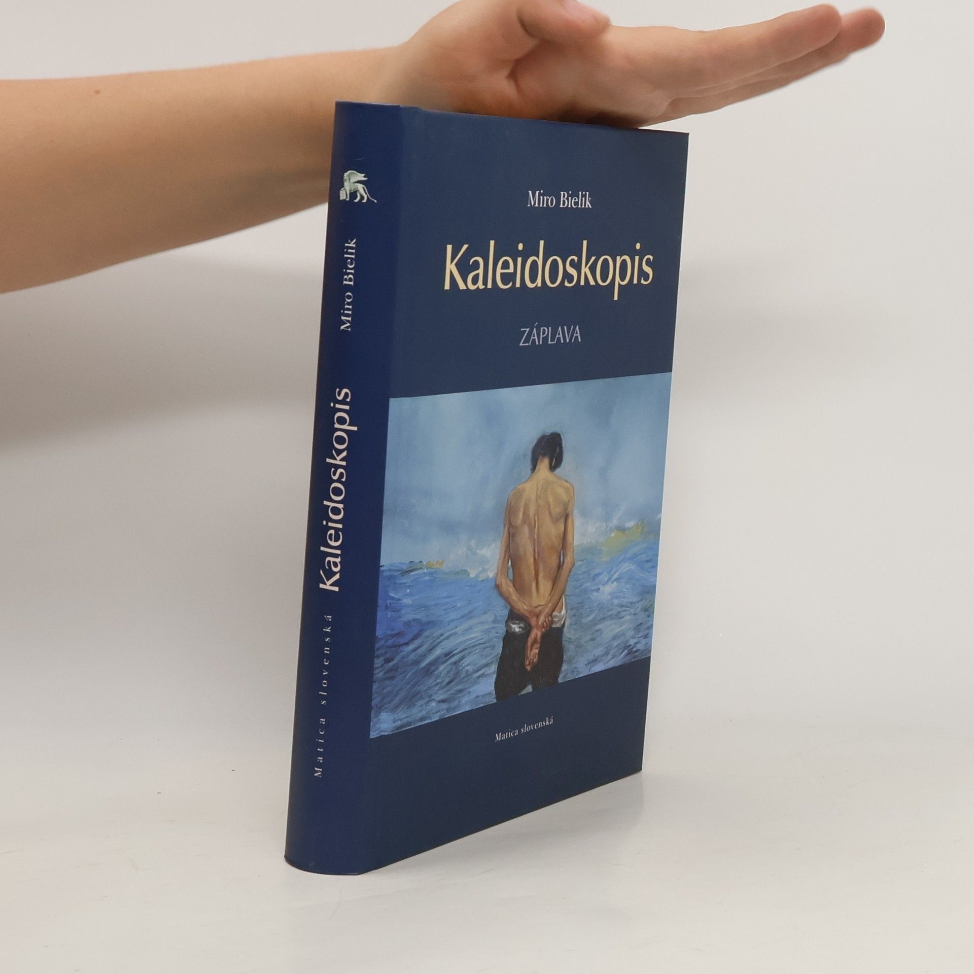 Miroslav Bielik Kaleidoskopis: Záplava