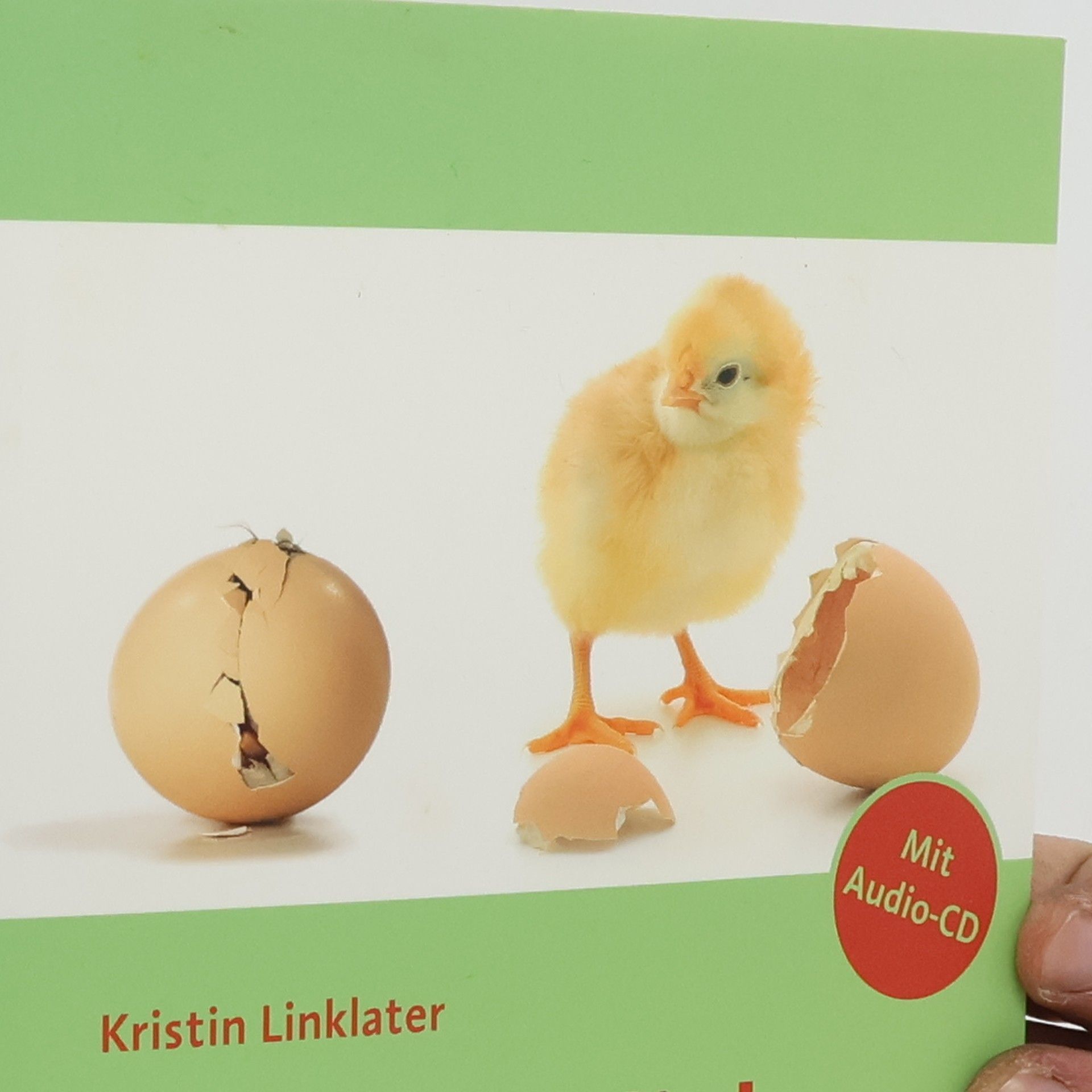 Collective Die persönliche Stimme entwickeln