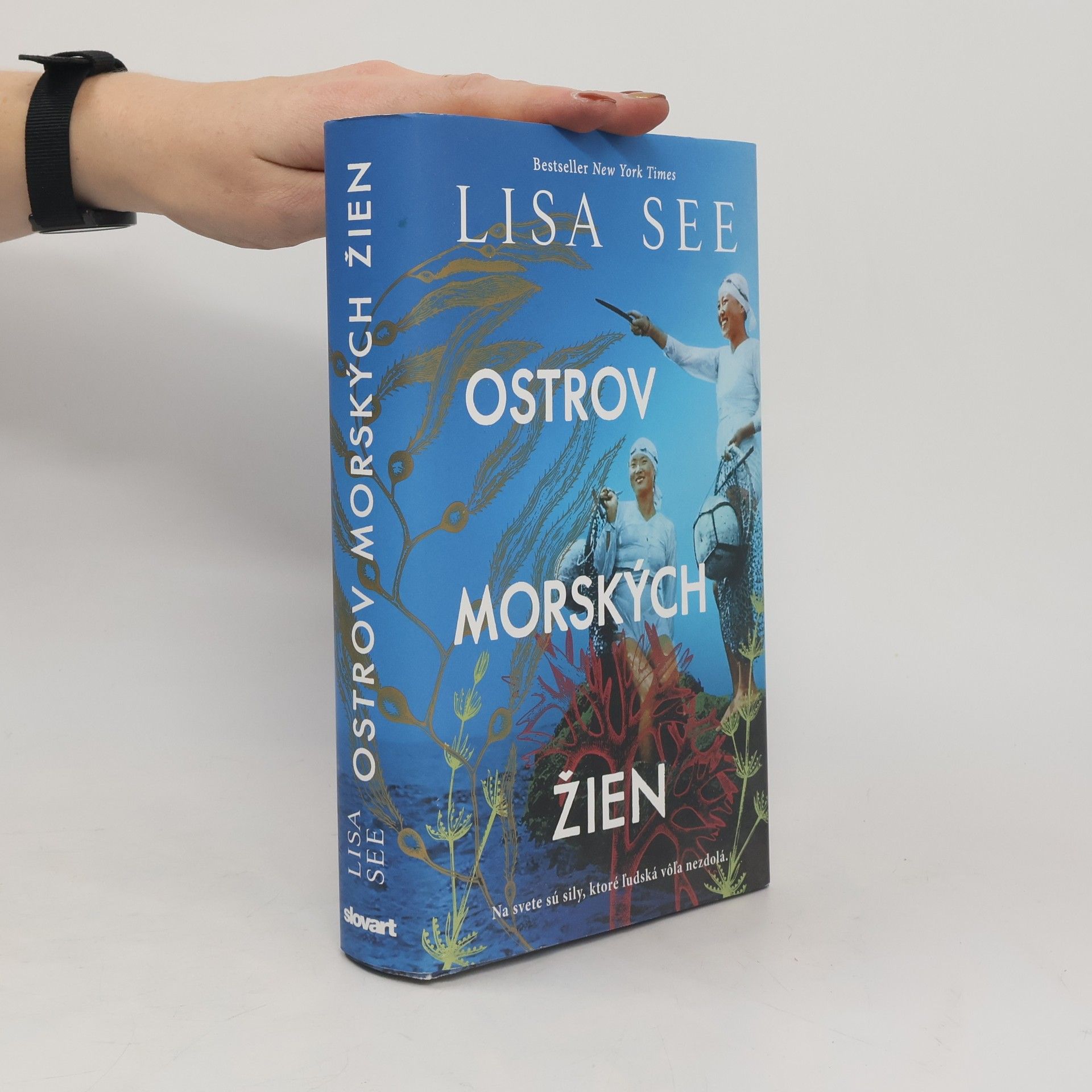 Lisa See Ostrov morských žien