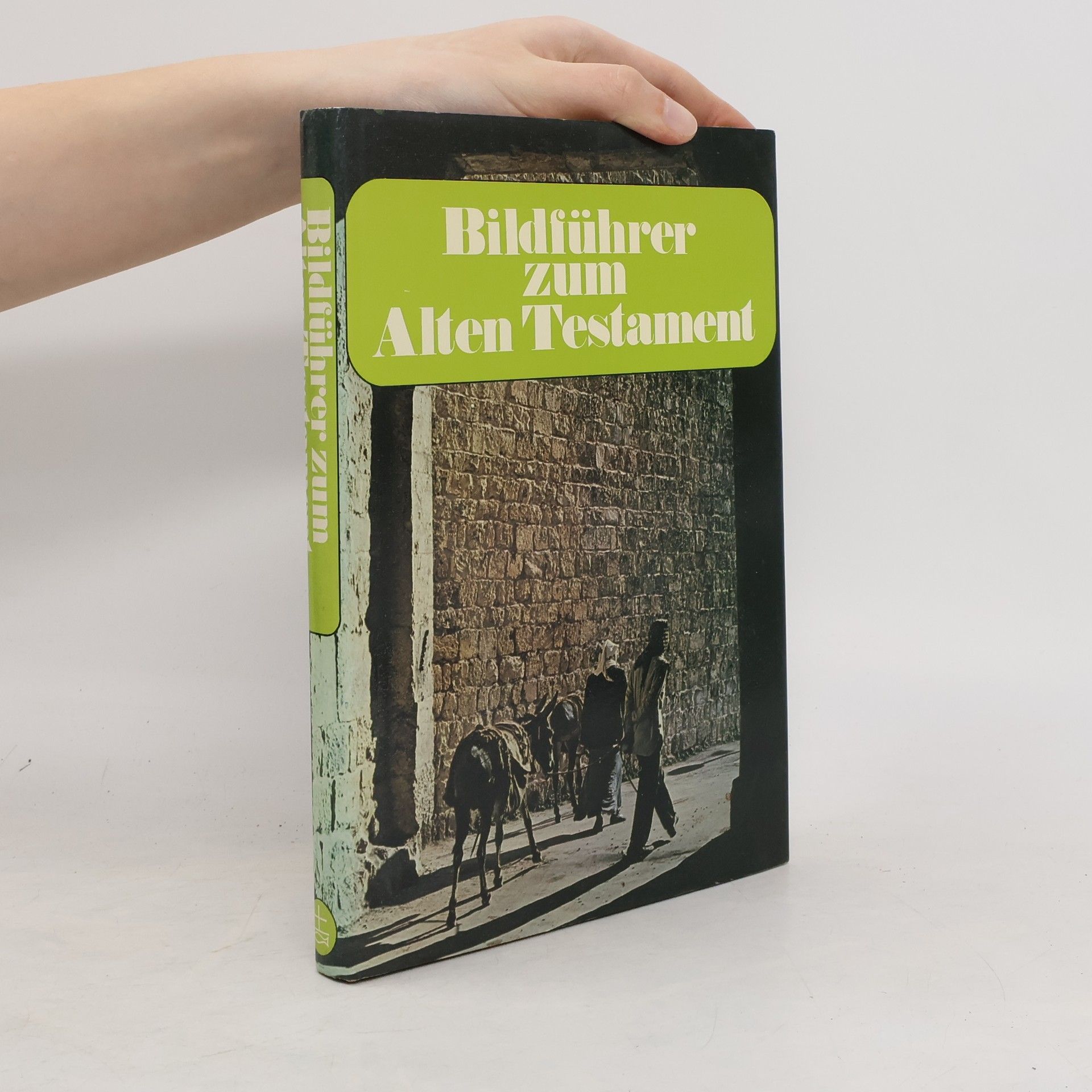 Pat Alexander Bildführer zum Alten Testament