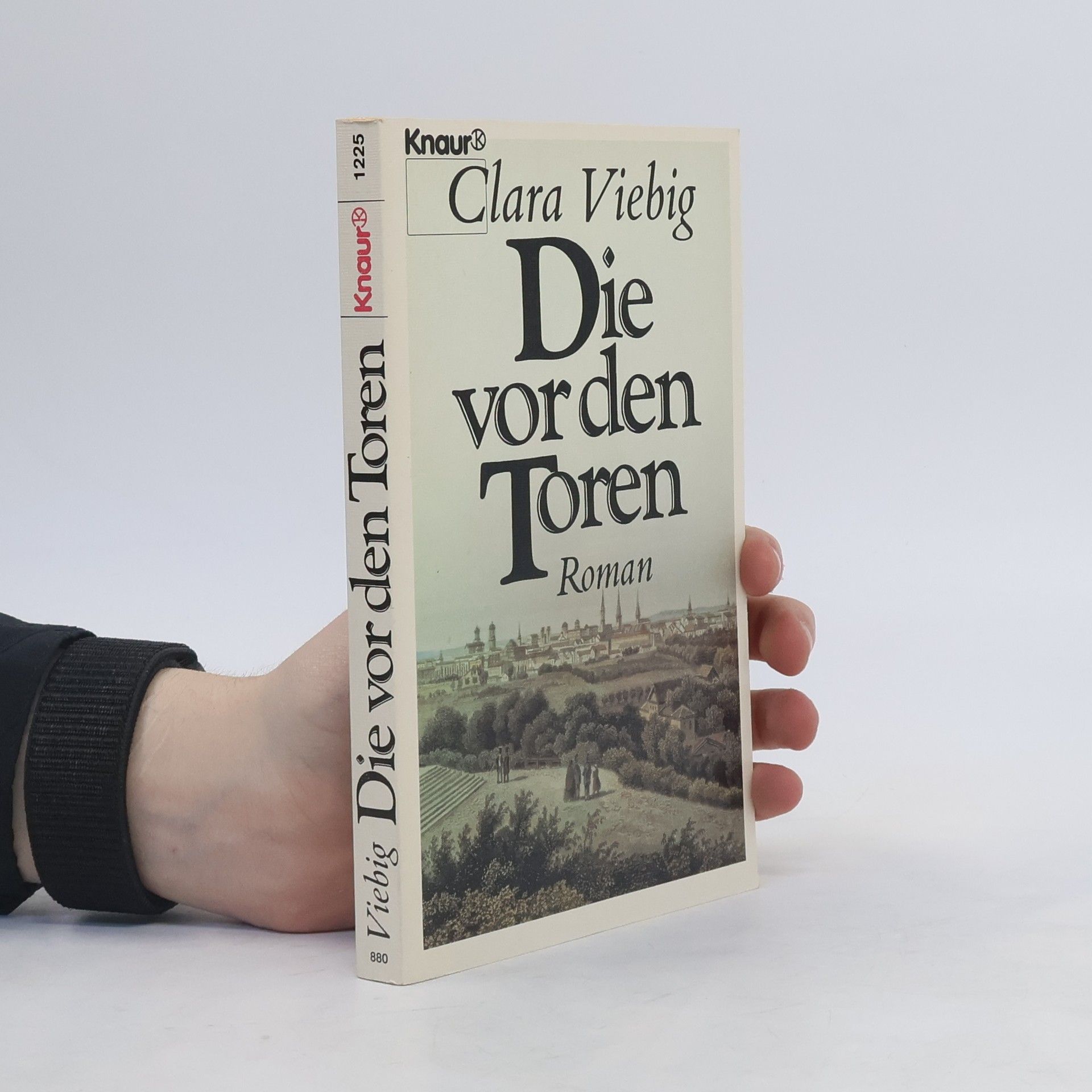 Clara Viebig Die vor den Toren
