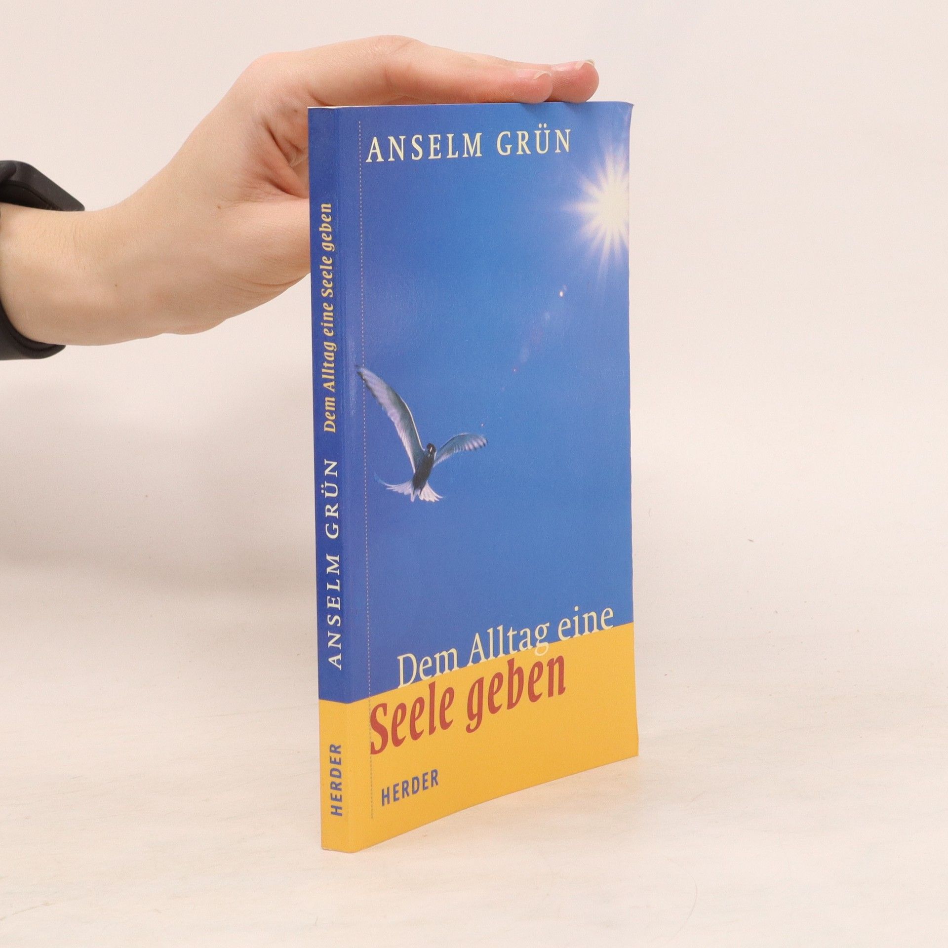 Anselm Grün Dem Alltag eine Seele geben