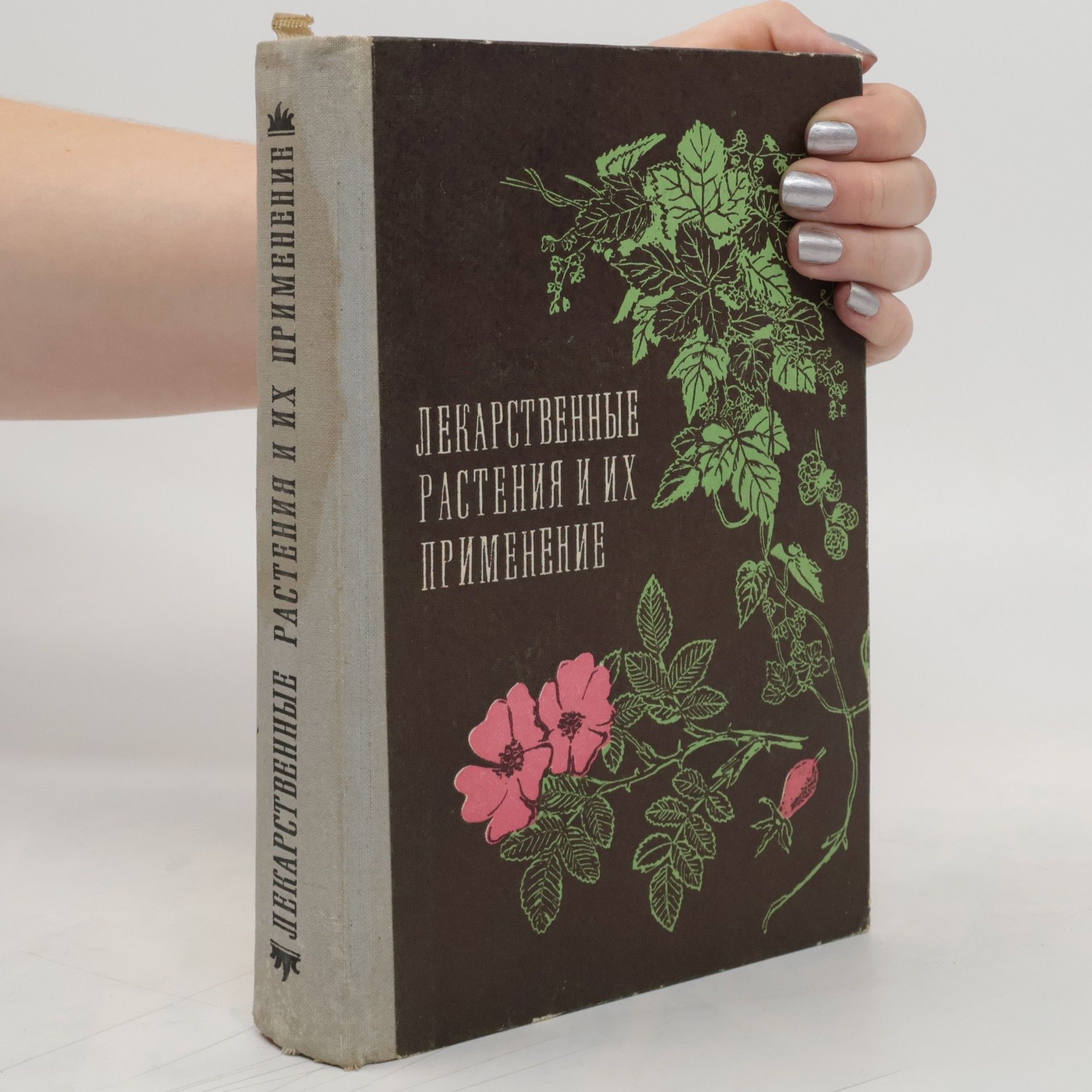 Collectif d'auteurs Лекарственные растения и их применение