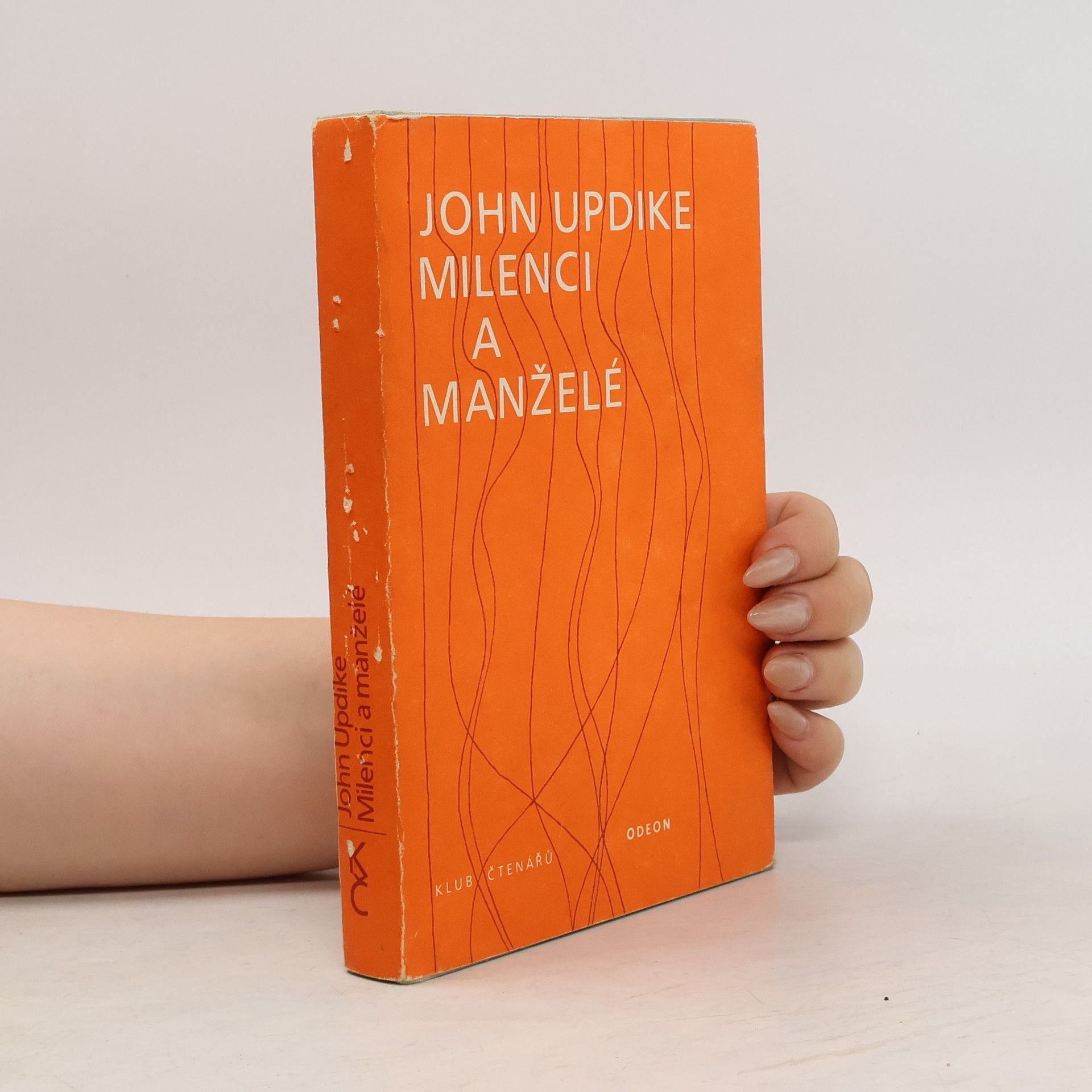 John Updike Milenci a manželé
