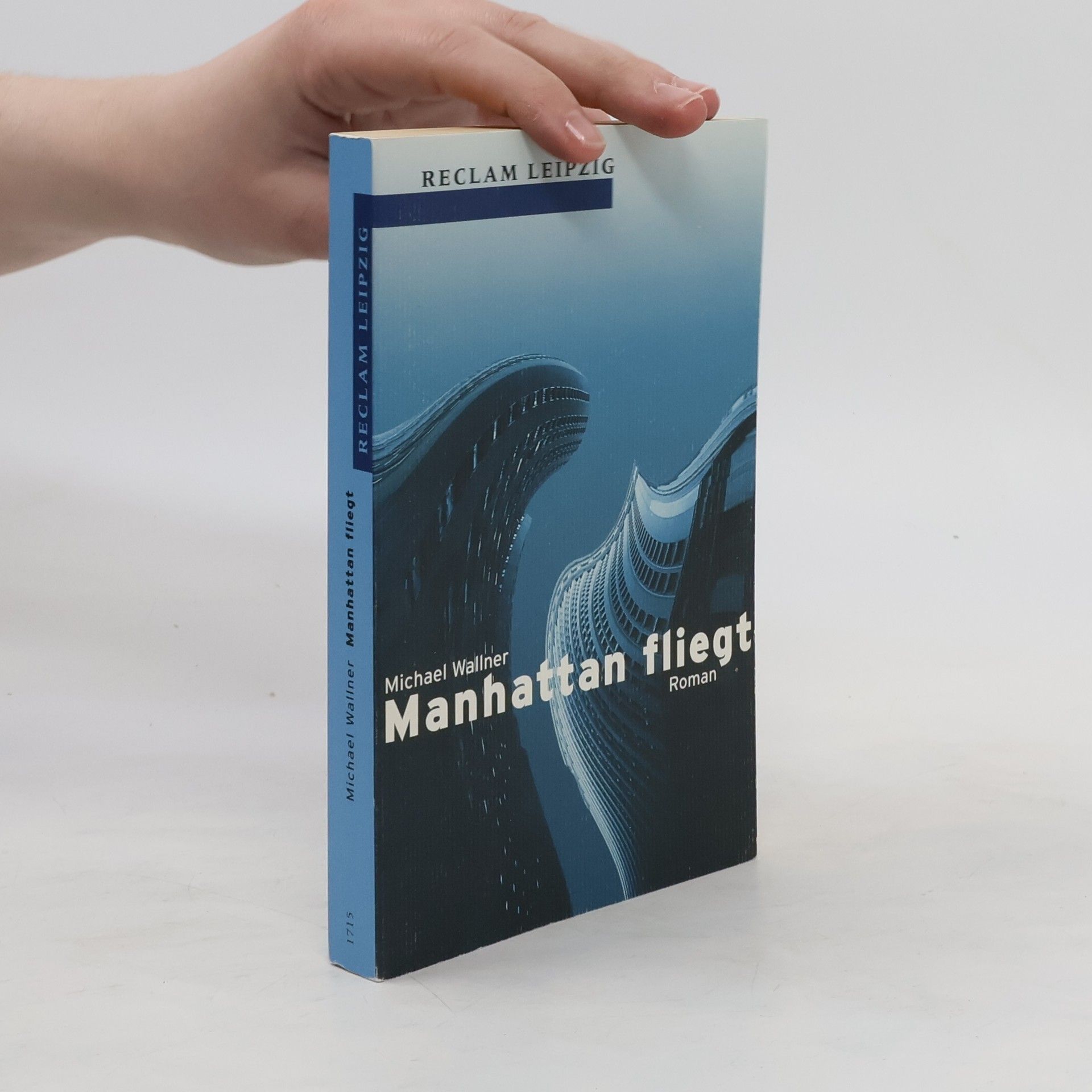 Michael Wallner Manhattan fliegt